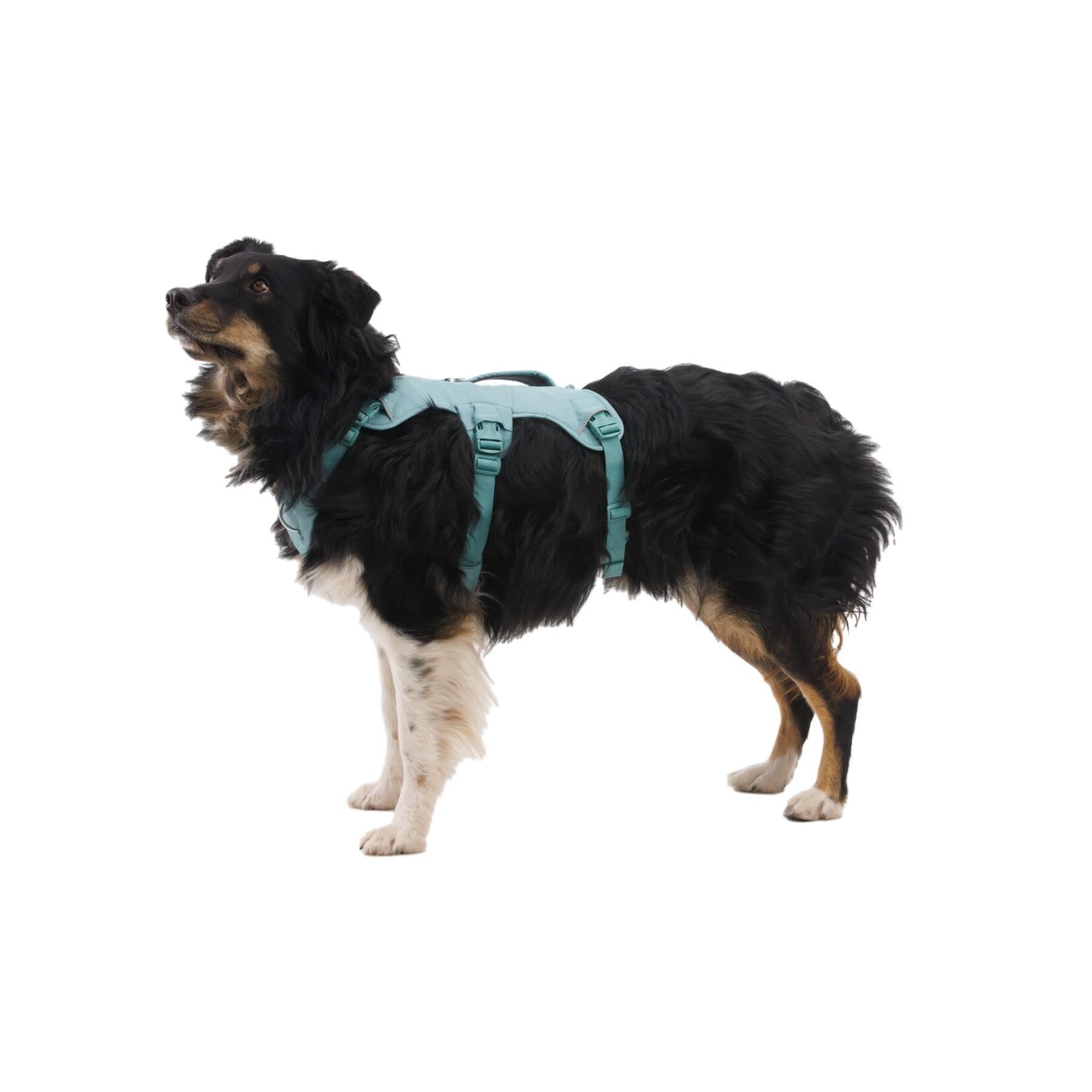 Ruffwear Web Master Dog Harness with Handle, River Rock Green