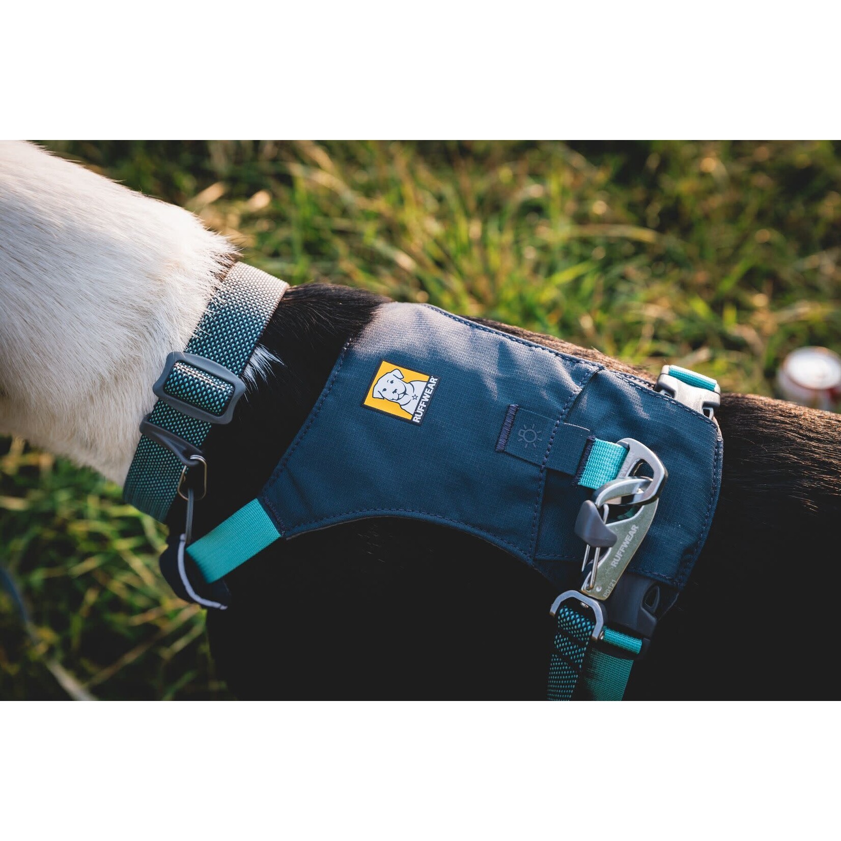 Ruffwear Hi & Light Lightweight Dog Harness, Basalt Gray