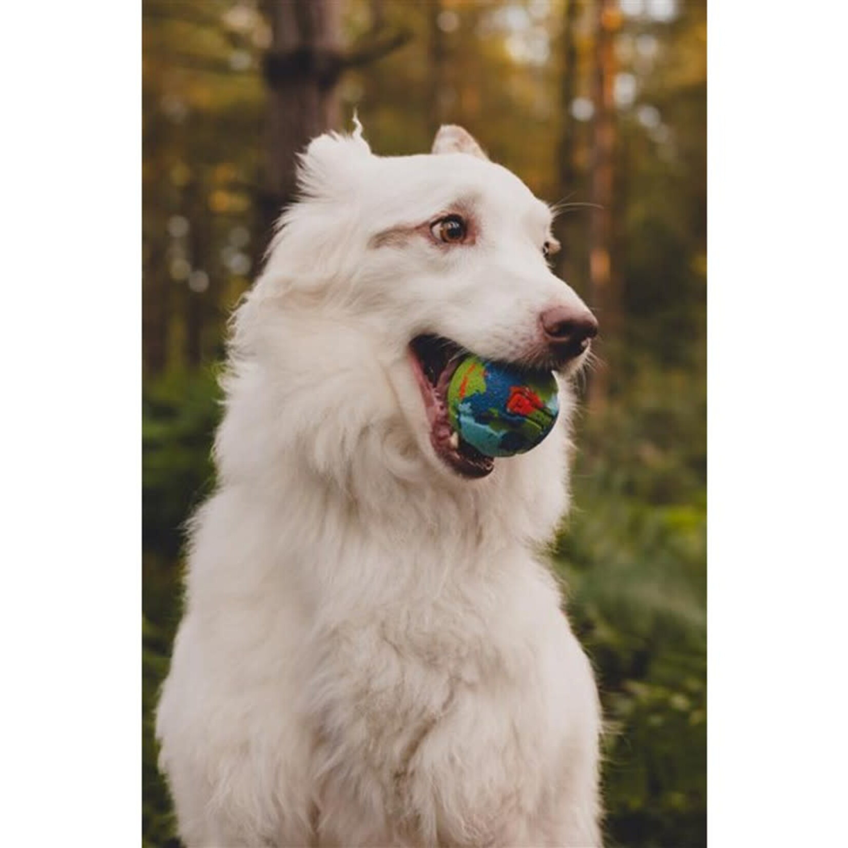 Chuckit! Eco Fetch Limited Edition Recycled Rubber Dog Ball Toy