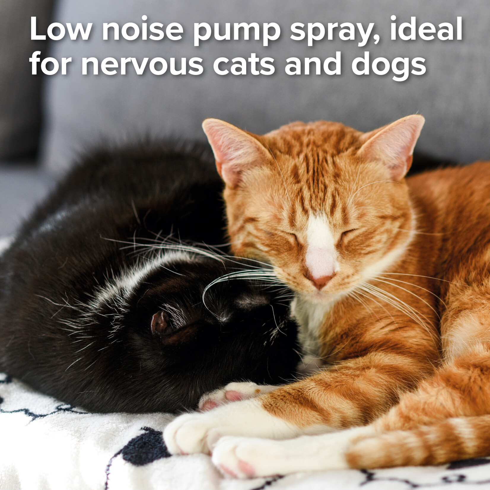 Beaphar Flea Spray for Cats & Dogs