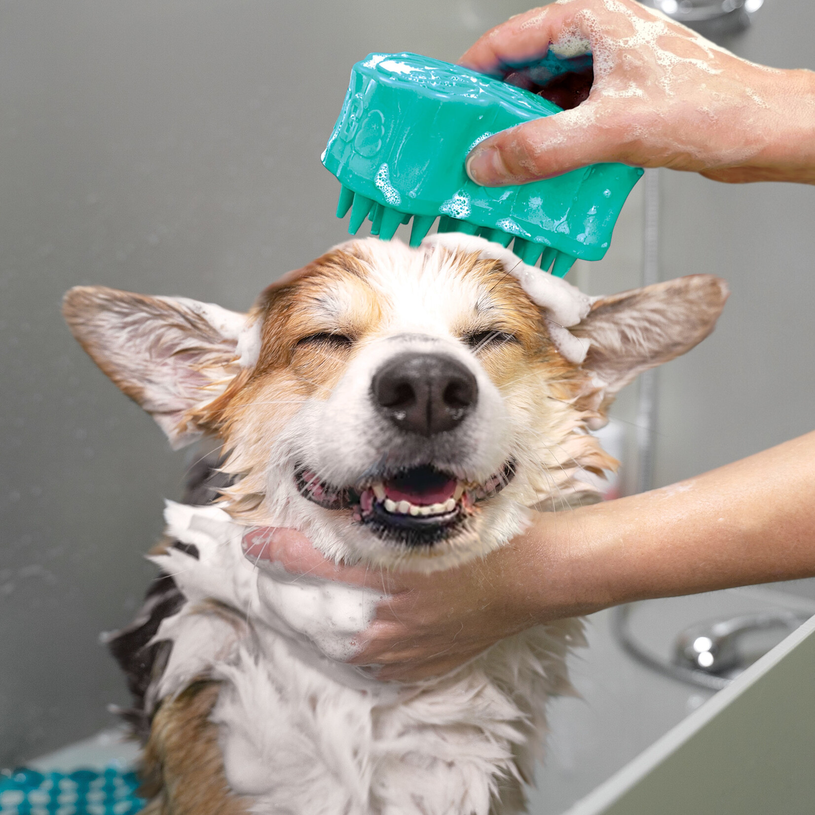 KONG ZoomGroom Bubbles Grooming Brush with Soap Dispenser
