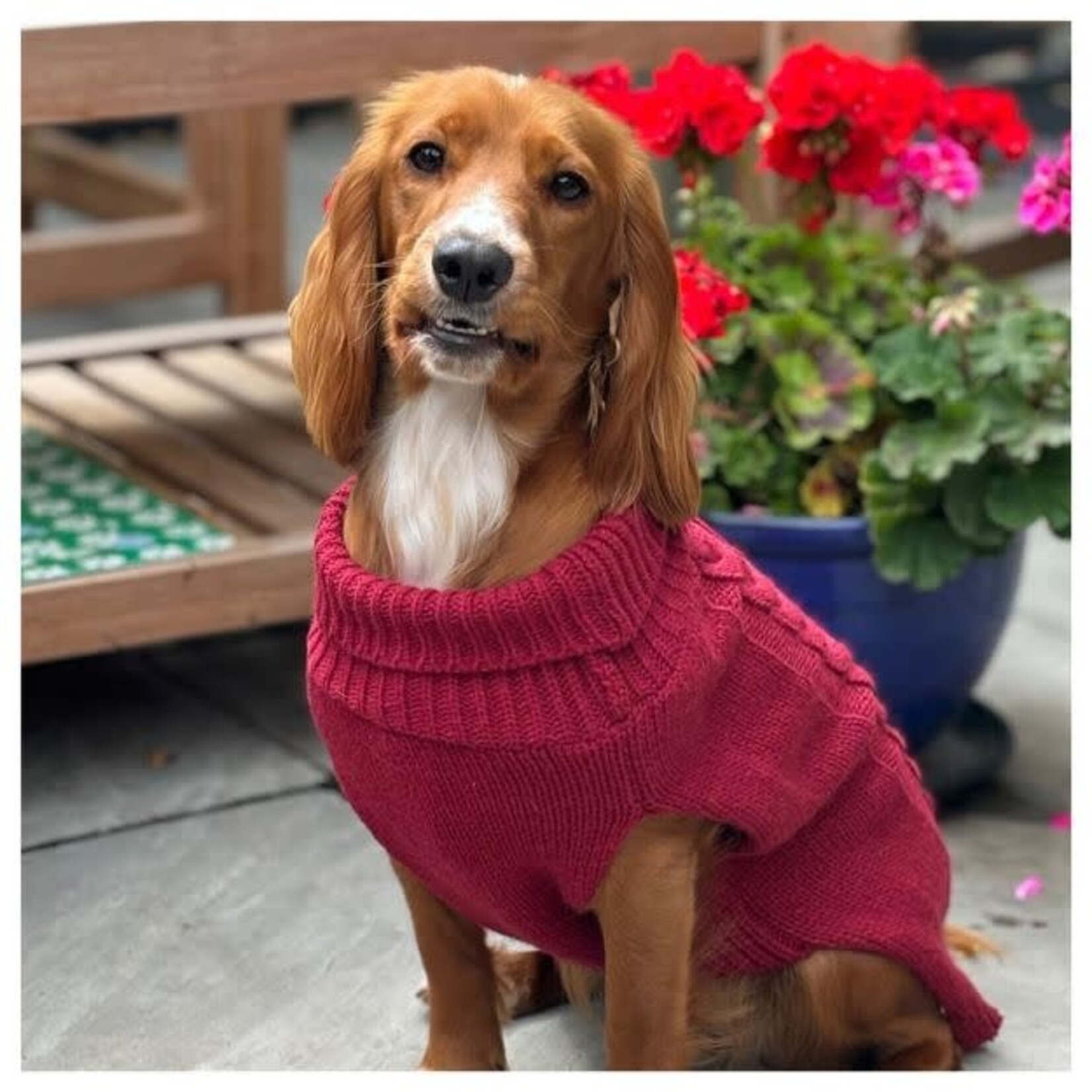 HugglePets Legacy Cable Knit Dog Jumper, Mulberry