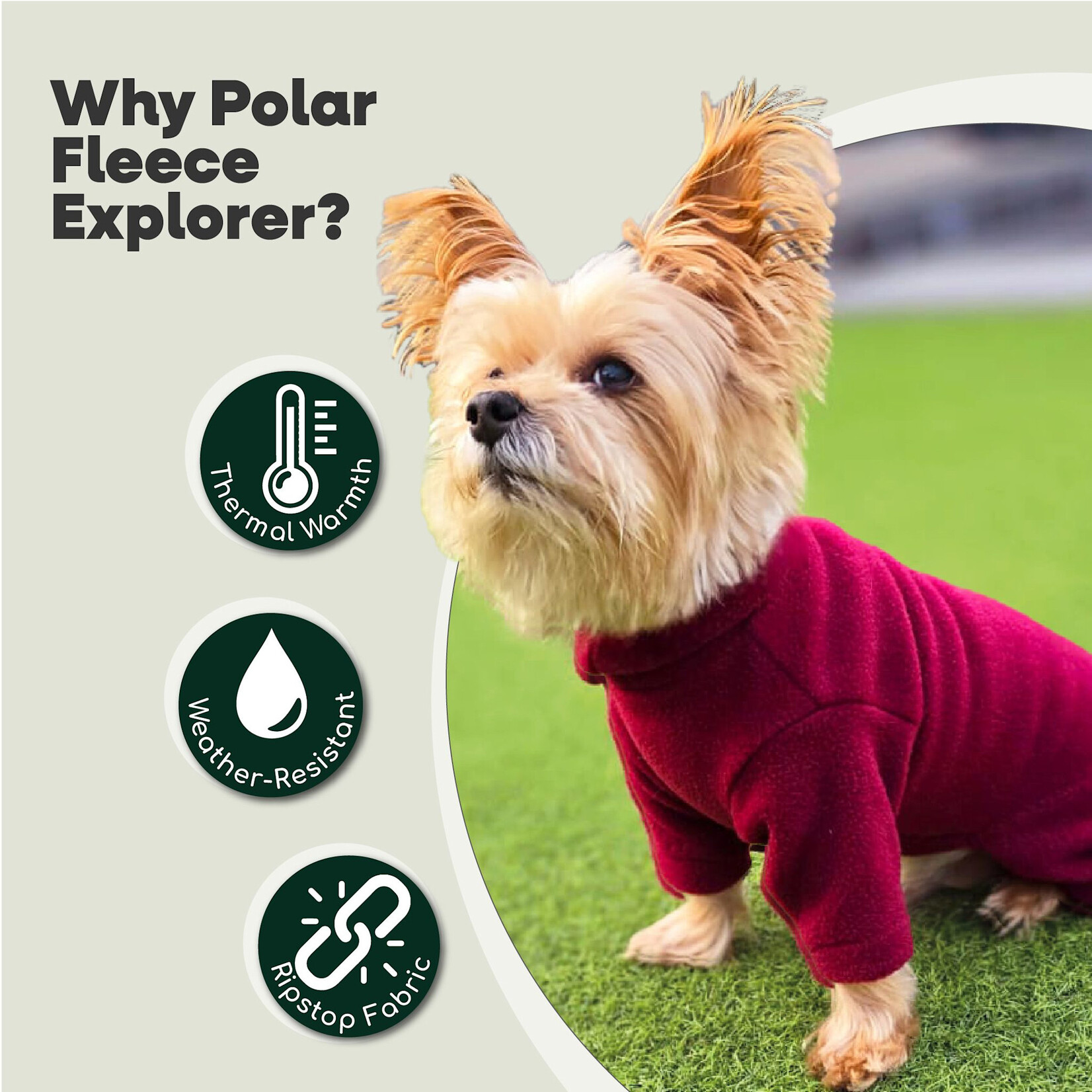 HugglePets Legacy Polar Fleece Suit Dog Jumper Suit, Mulberry