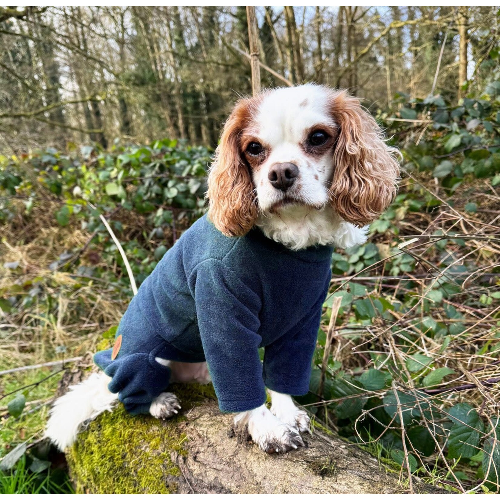 HugglePets Legacy Polar Fleece Suit Dog Jumper Suit, Navy
