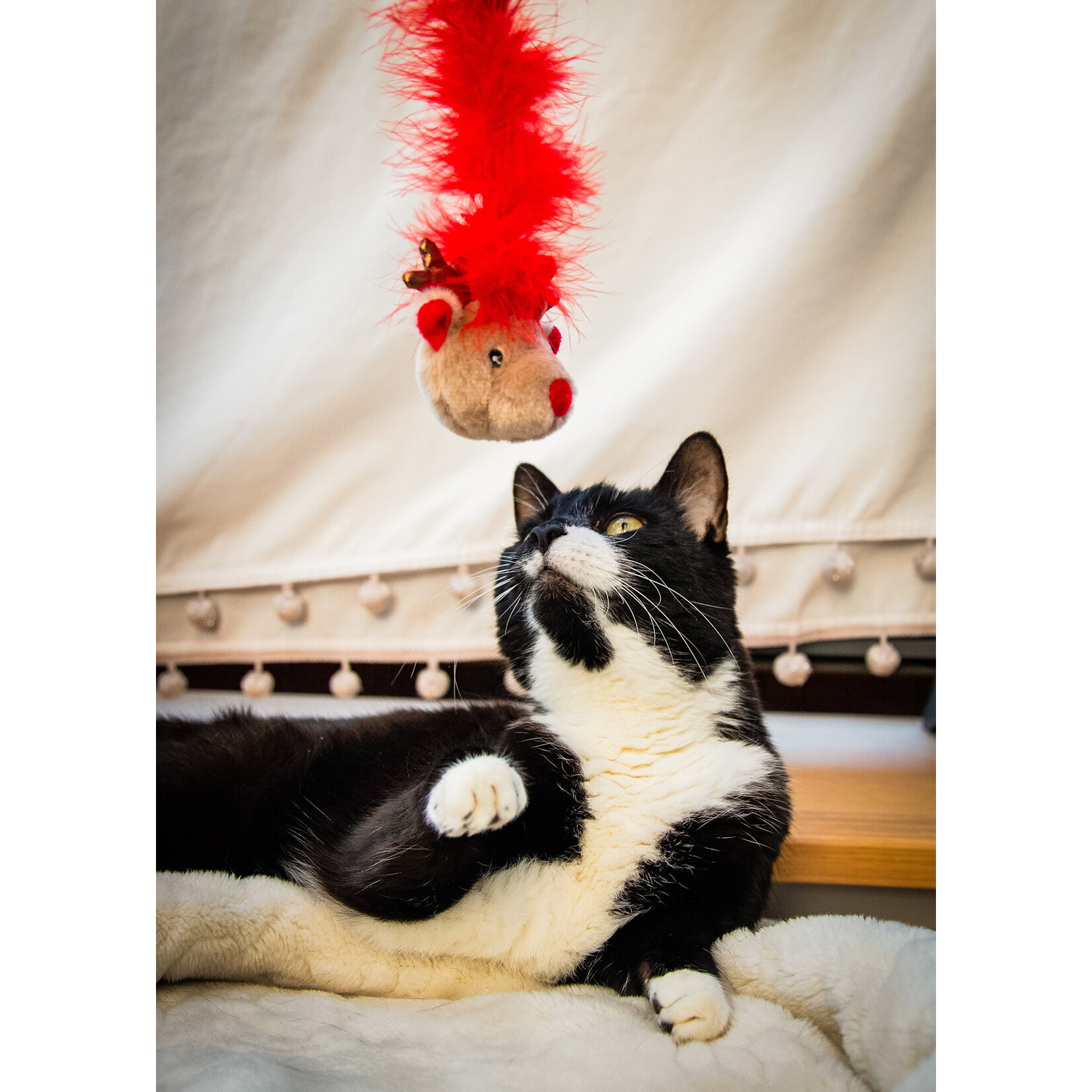 Rosewood Christmas Roxy Reindeer Cat Toy