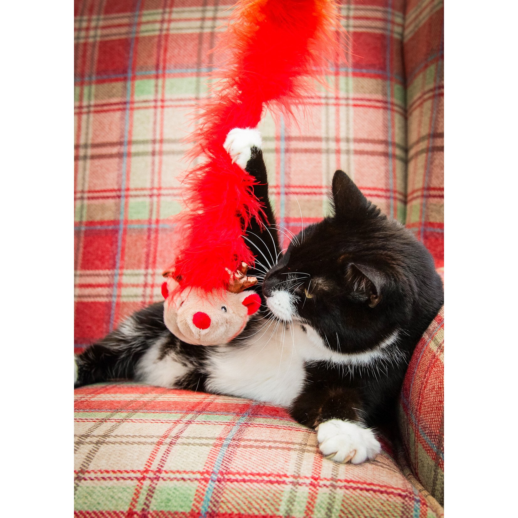 Rosewood Christmas Roxy Reindeer Cat Toy