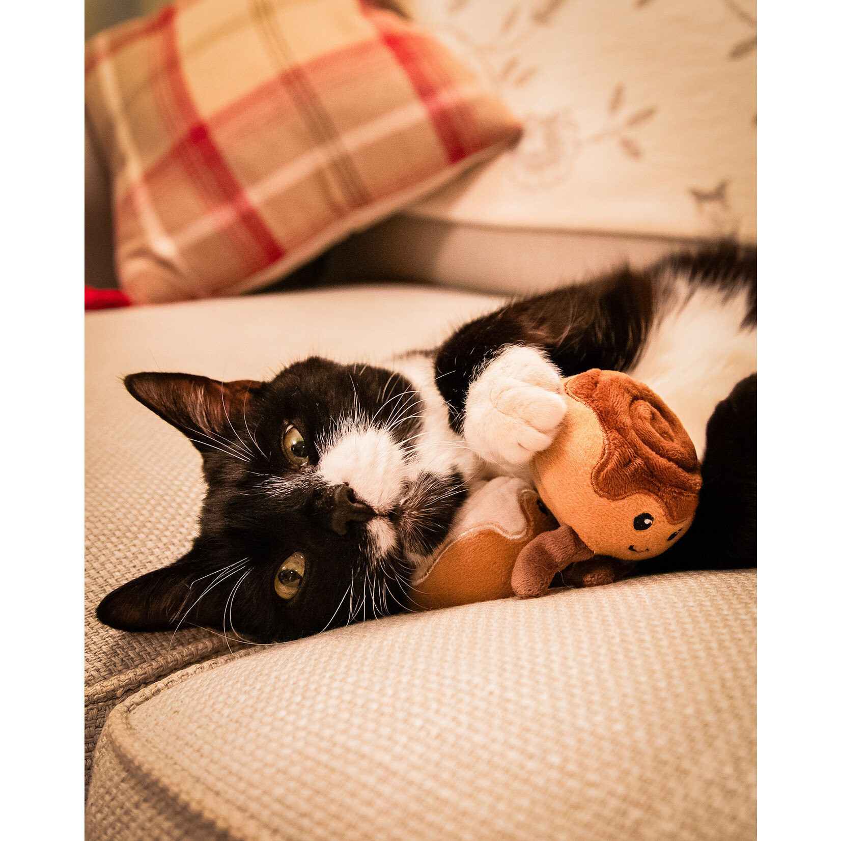 Rosewood Christmas Rudy & Clarice Cinnamon Bun Duo Cat Toy