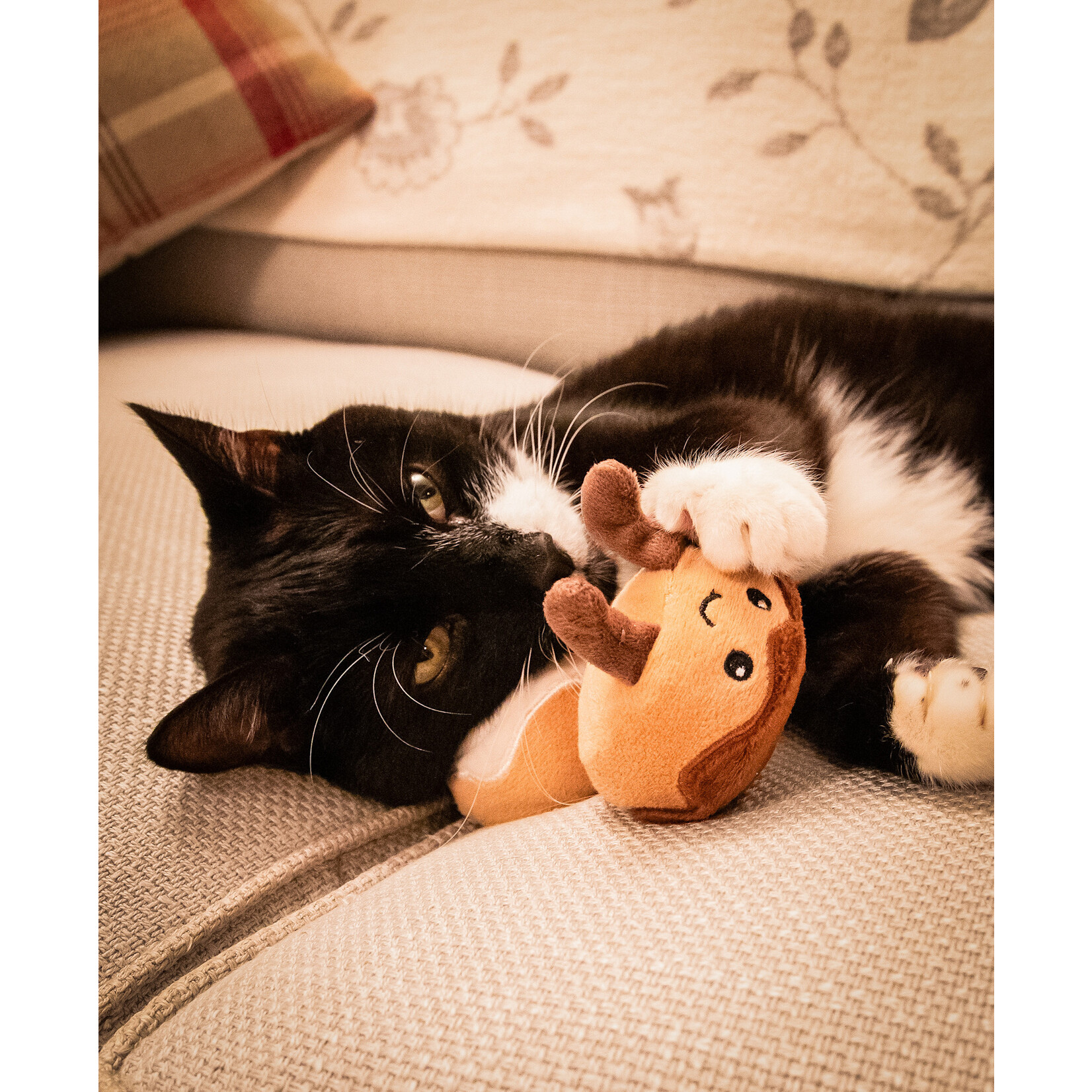 Rosewood Christmas Rudy & Clarice Cinnamon Bun Duo Cat Toy
