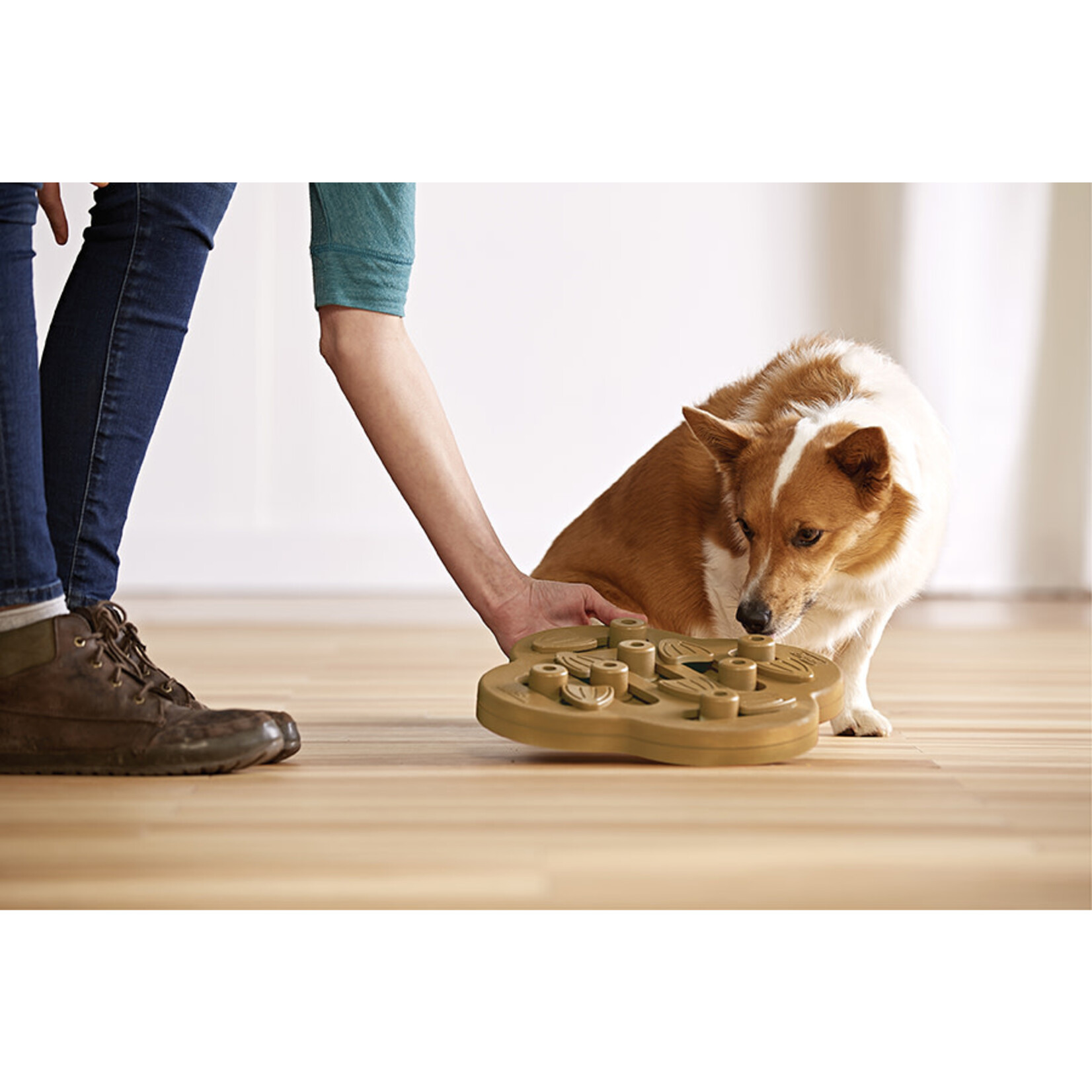 Nina Ottosson Dog Hide n' Slide Game, Tan