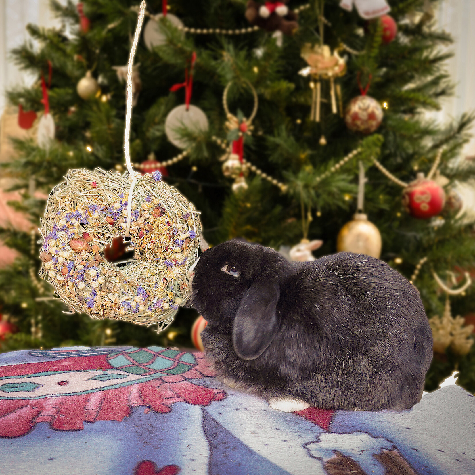 Rosewood Naturals Christmas Winter Wreath for Small Animals