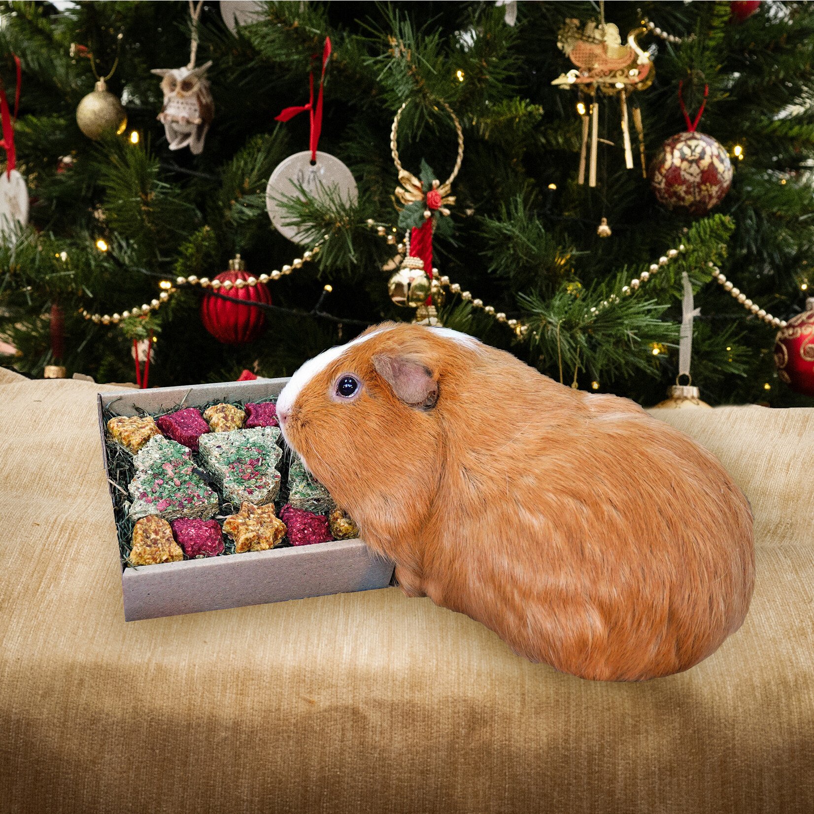 Rosewood Naturals Christmas Festive Cookies Small Animal Forage Tray