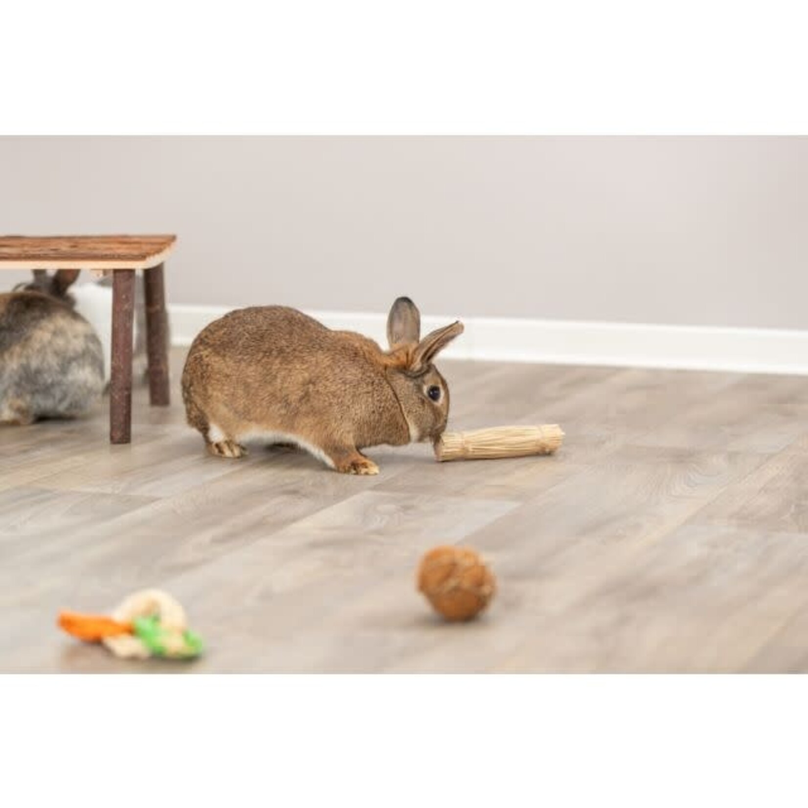 Trixie Small Animal Grass Toy