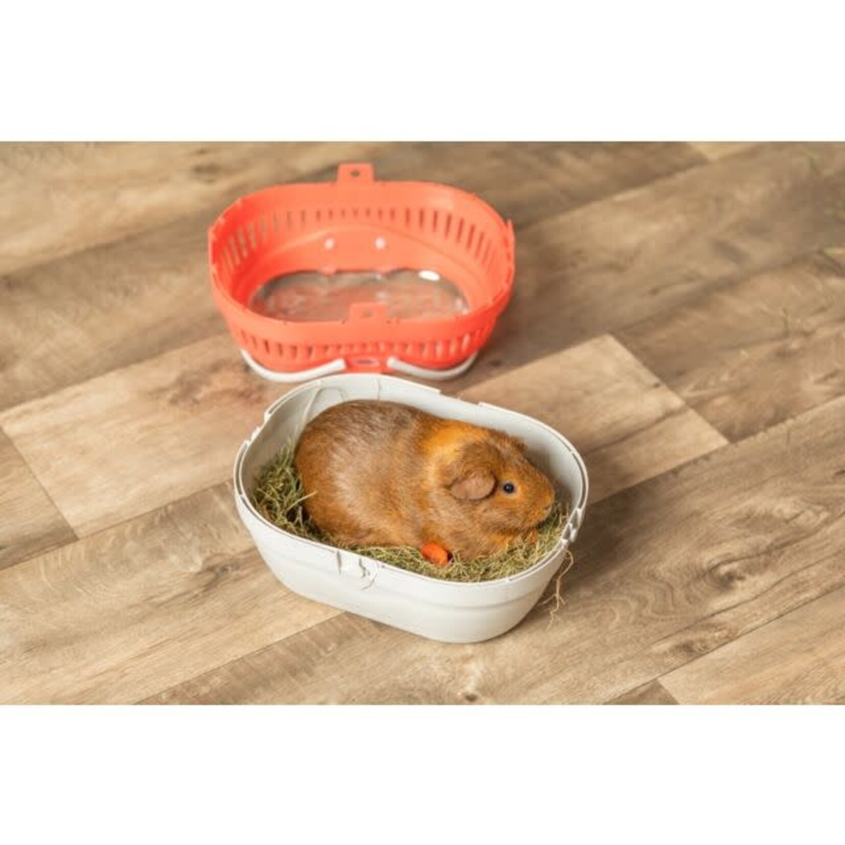 Trixie Pico Small Animal Transport Box