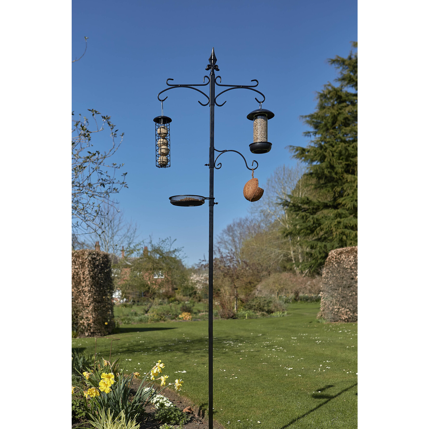 Tom Chambers Piazza Bird Station