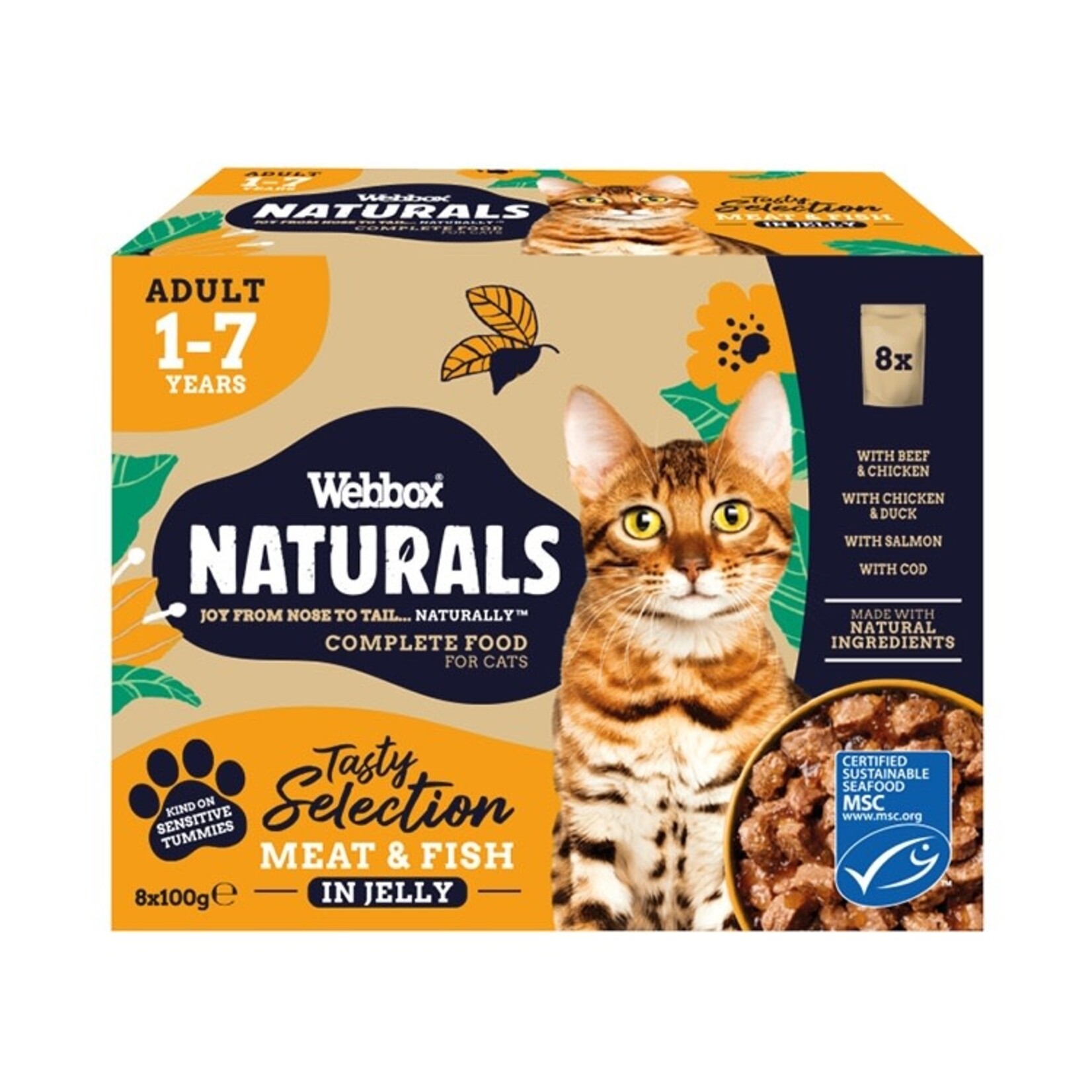 Webbox Naturals Fish & Meat in Jelly Wet Adult Cat Food, 8 x 100g