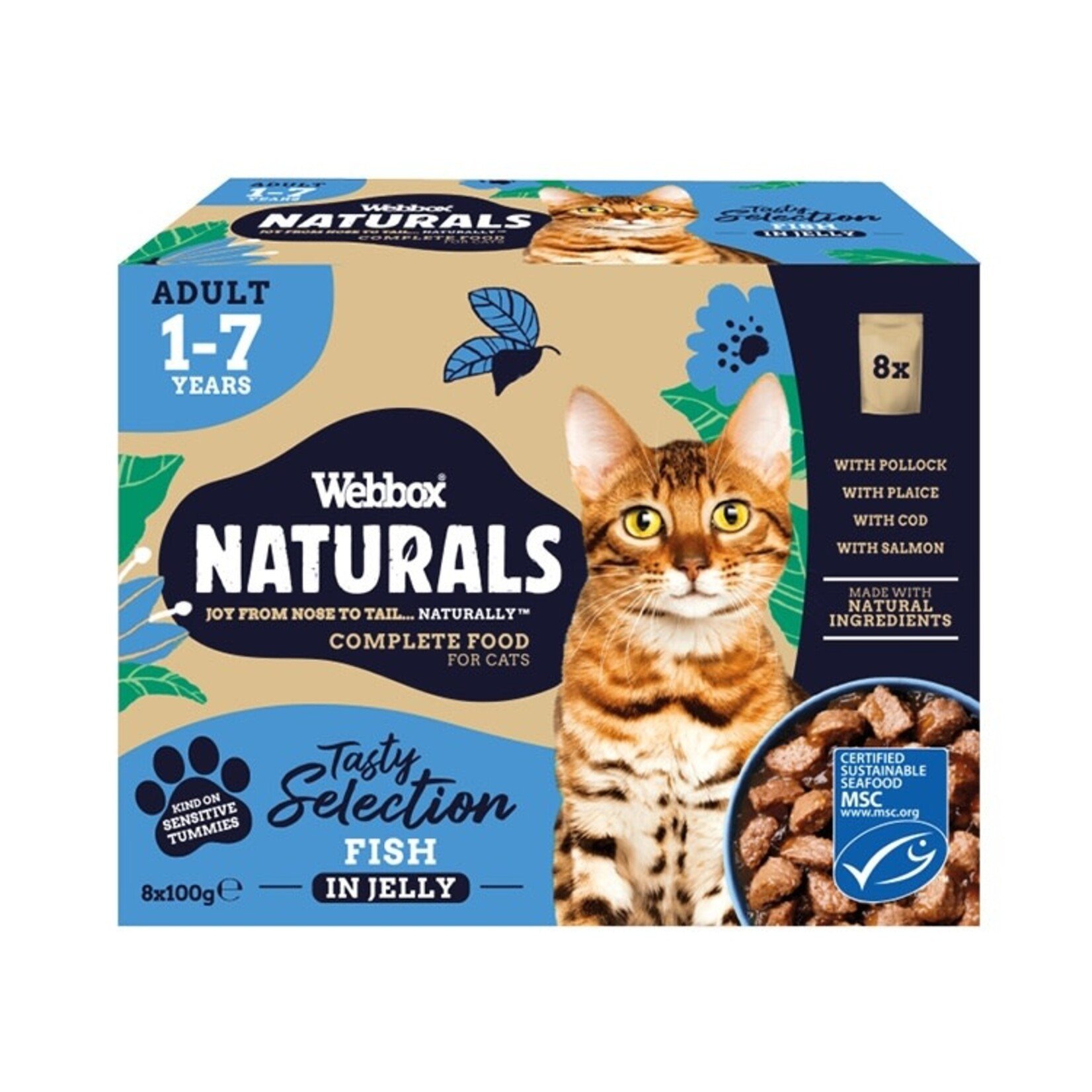 Webbox Naturals Fish in Jelly Adult Wet Cat Food, 8 x 100g
