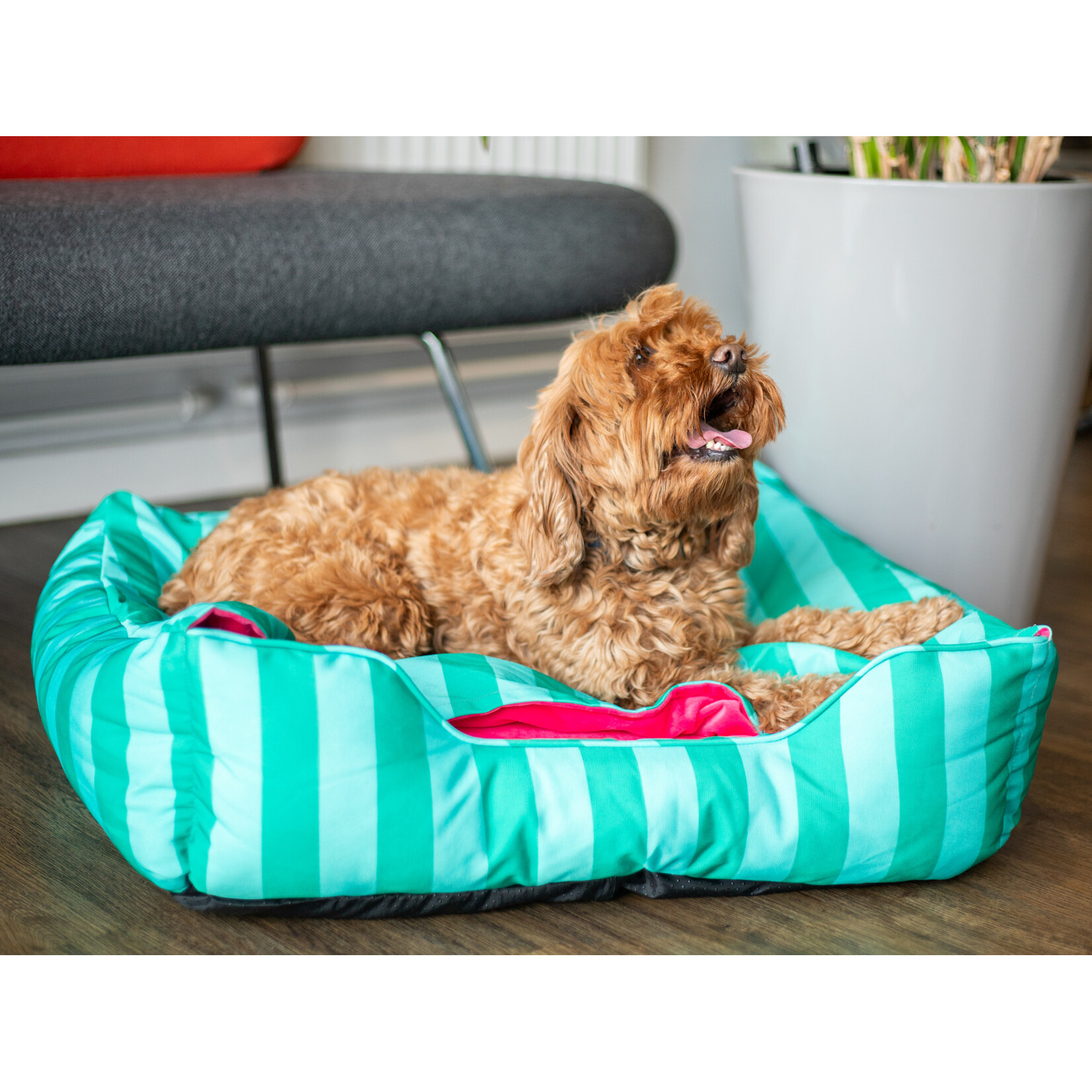 Rosewood Happy Hideout Dog Bed in Green & Pink, 70 x 70 x 20cm