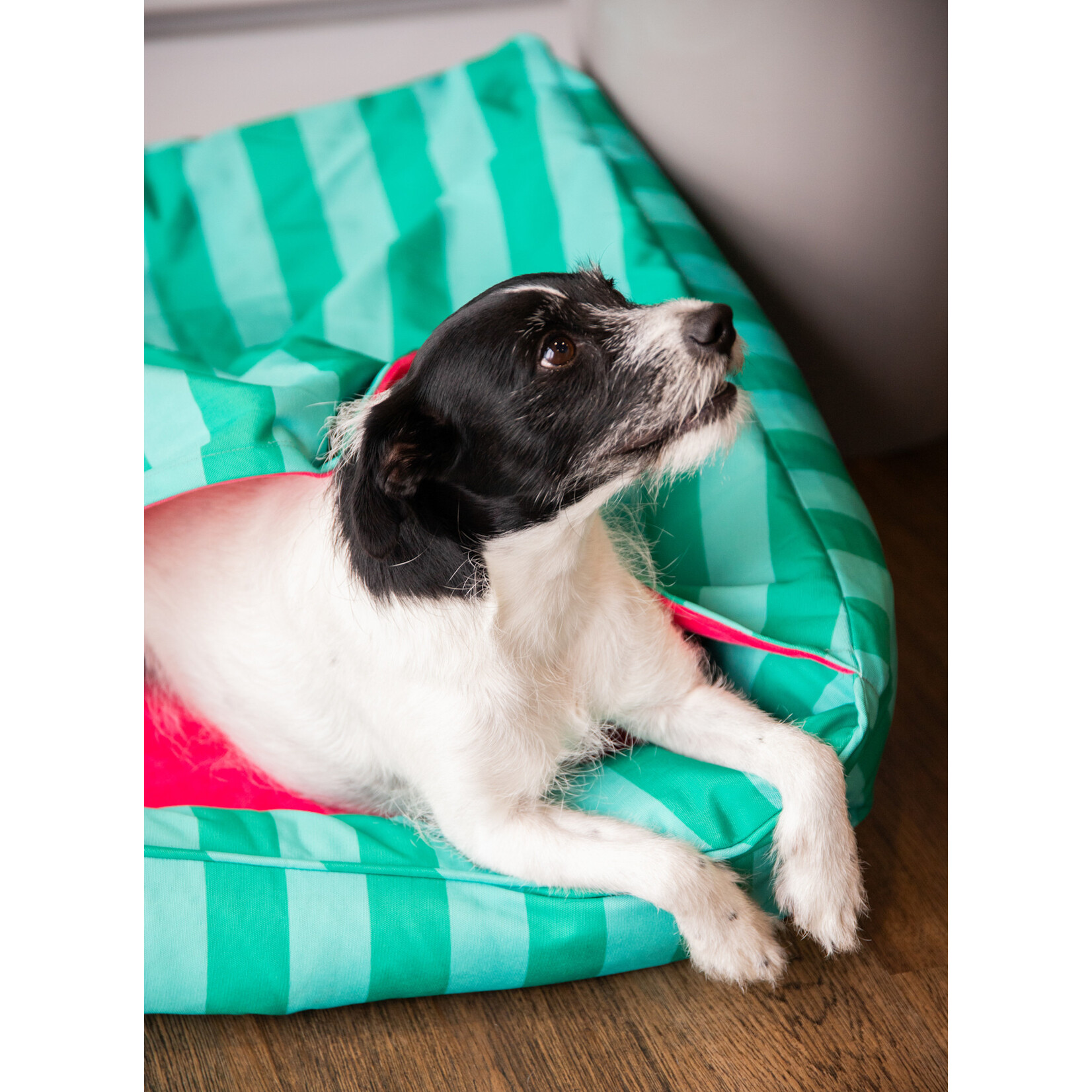 Rosewood Happy Hideout Dog Bed in Green & Pink, 70 x 70 x 20cm