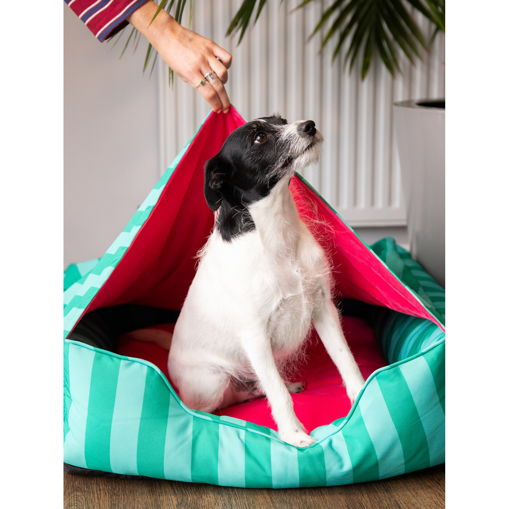 Rosewood Happy Hideout Dog Bed in Green & Pink, 70 x 70 x 20cm