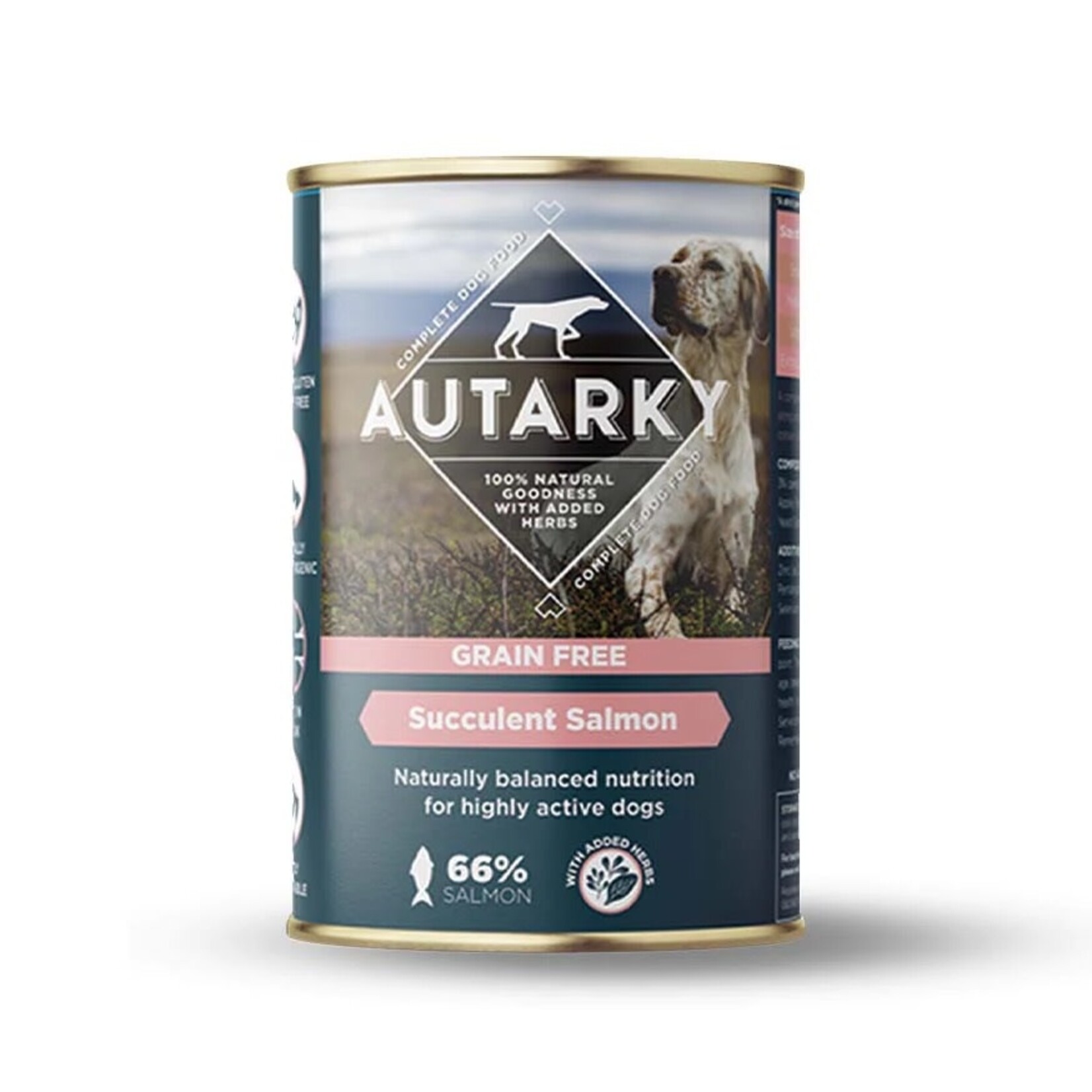 Autarky Grain Free Succulent Salmon Complete Wet Dog Food Tin 395g