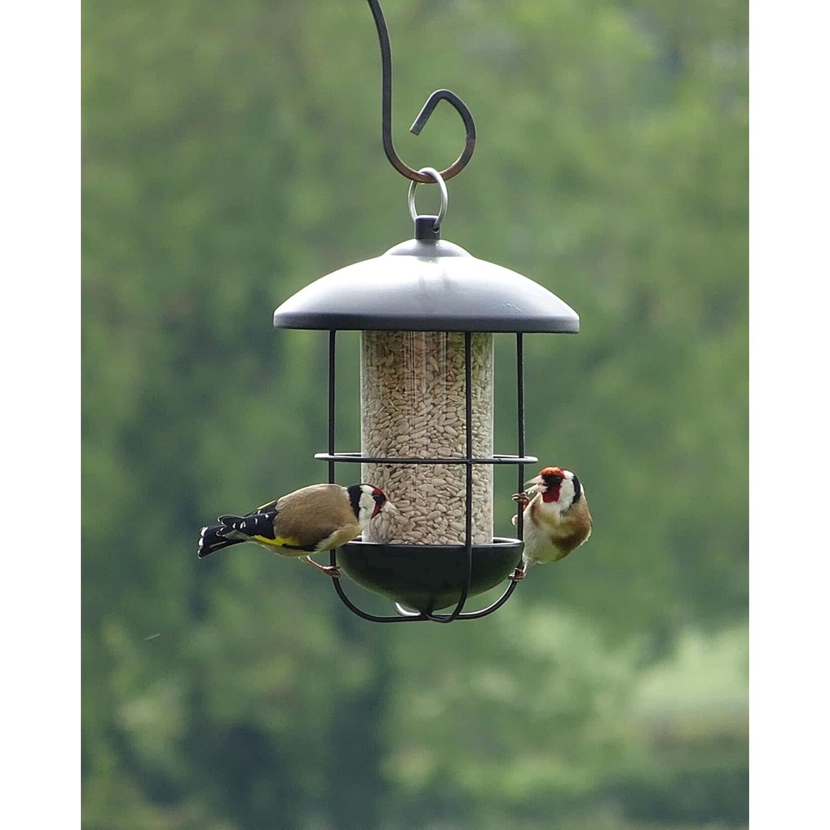 Supa Metal Lantern Wild Bird Seed & Sunflower Heart Feeder
