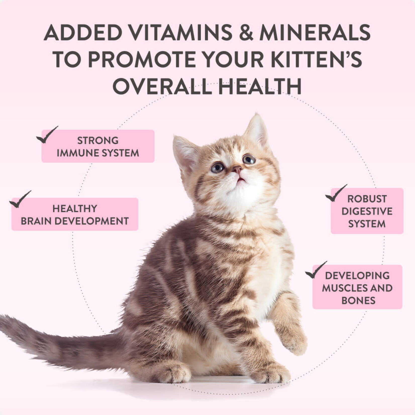 Schesir Baby Mousse Complete Grain Free Kitten Food Pouch 70g