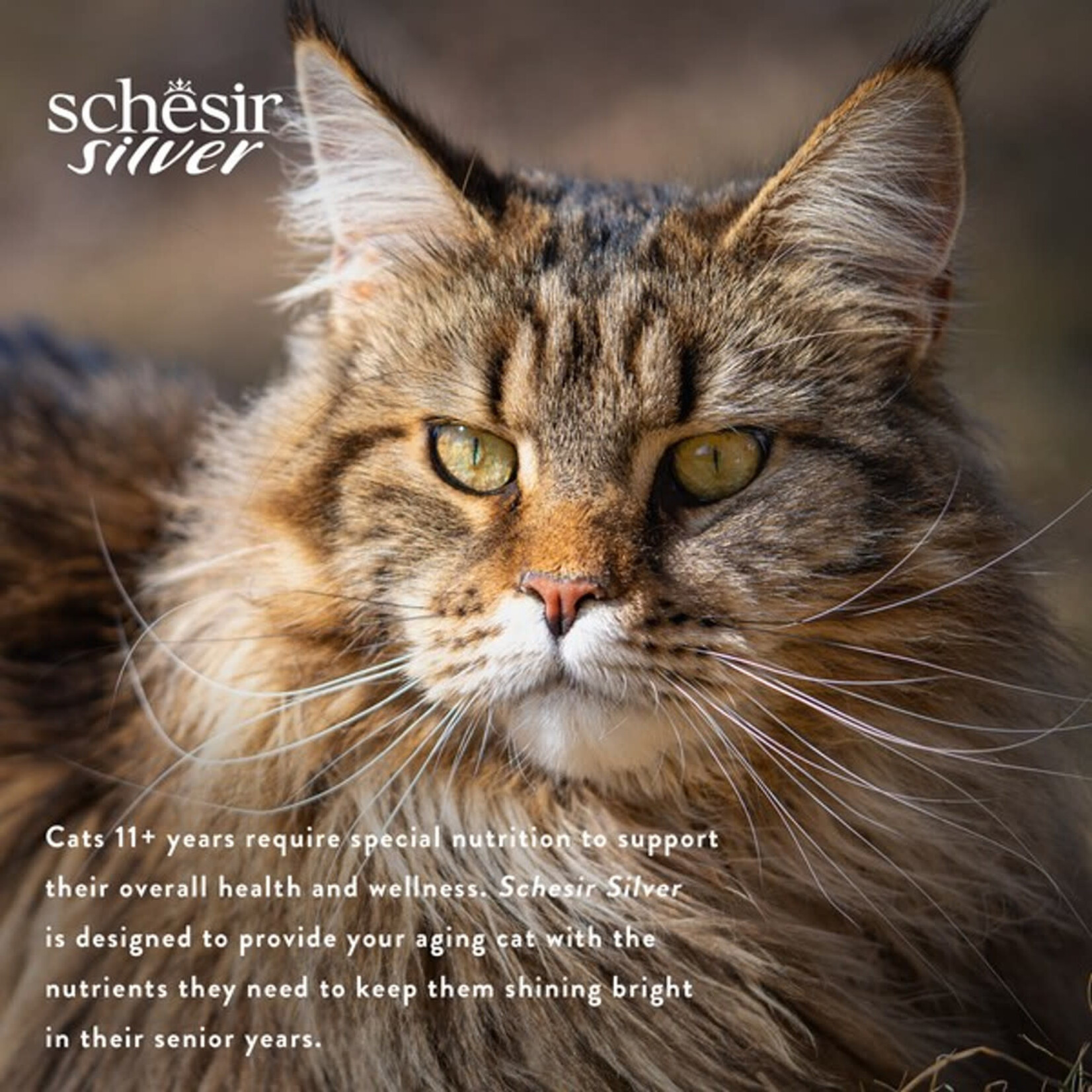 Schesir Silver Complete Grain Free Senior Cat Food Can 70g