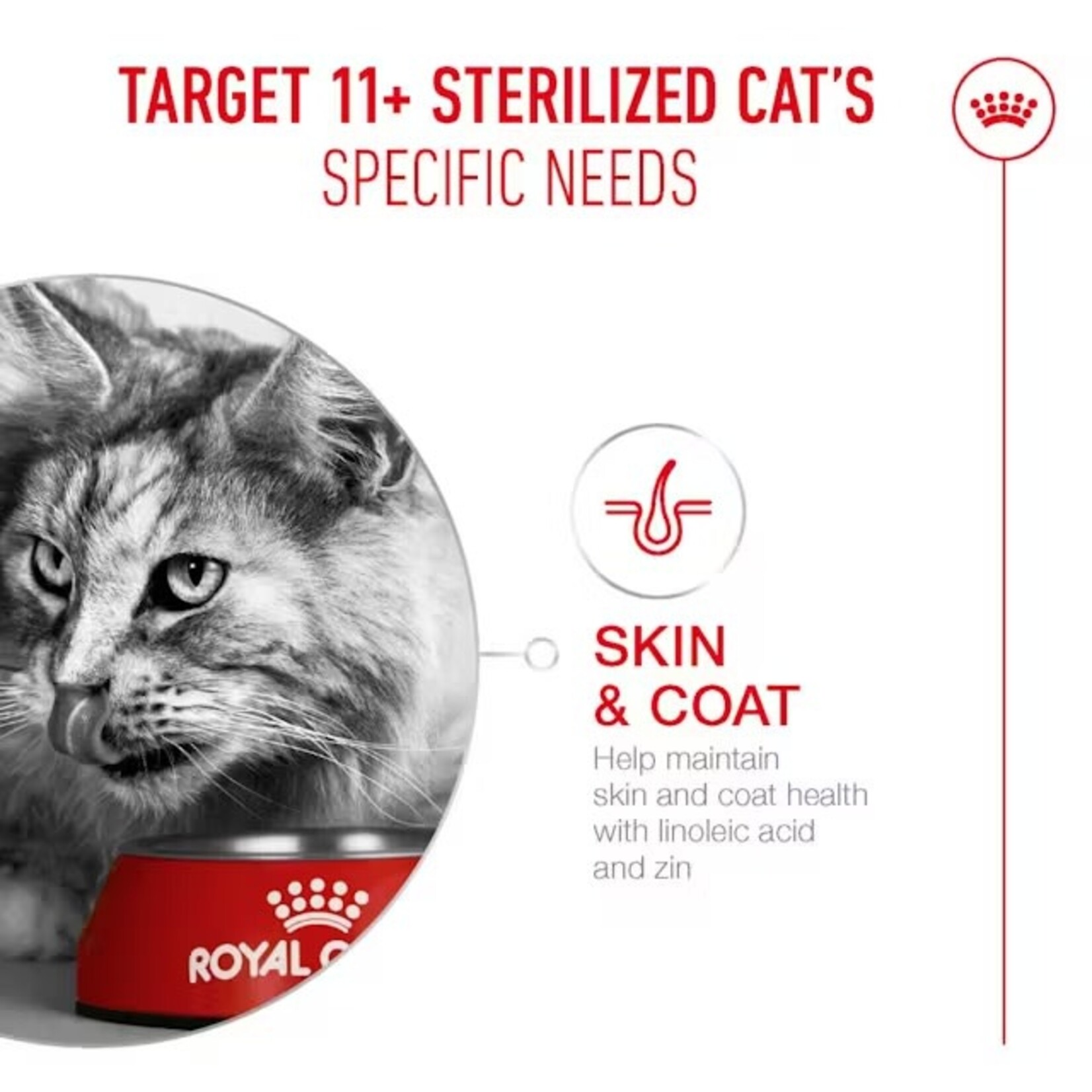 Royal Canin Ageing Sterilised 11+ Senior Cat Dry Food