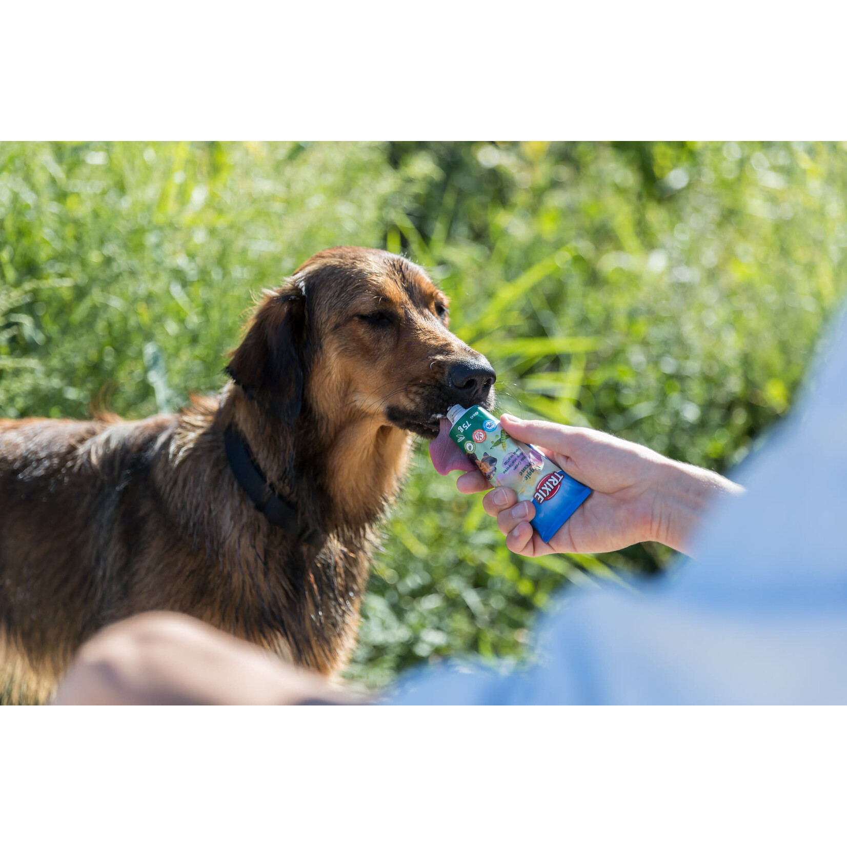 Trixie Premio Liver Dog Pate with Hemp Snack Treat, 75g