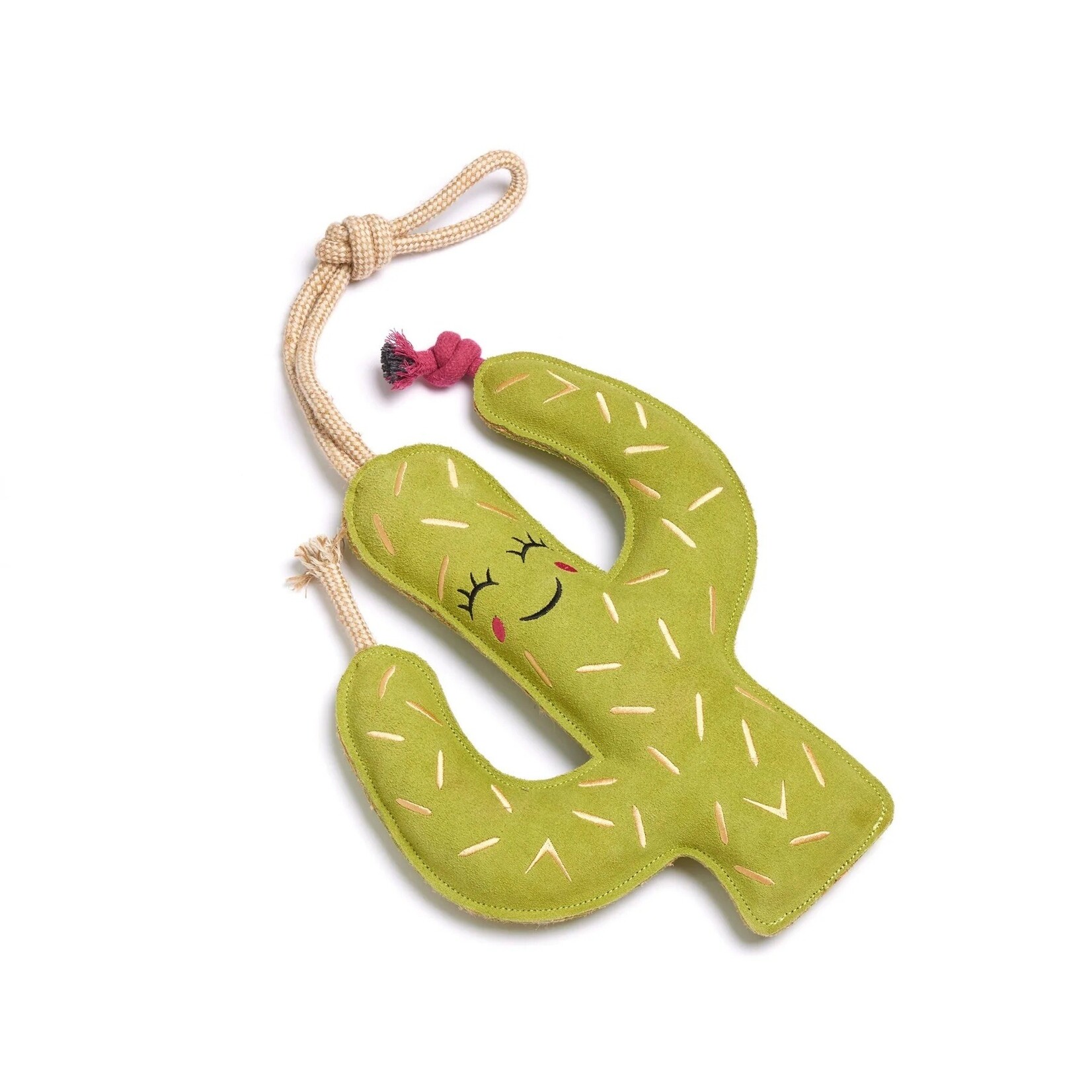 Green and Wild's Prickly Pam Horse & Dog Eco Toy