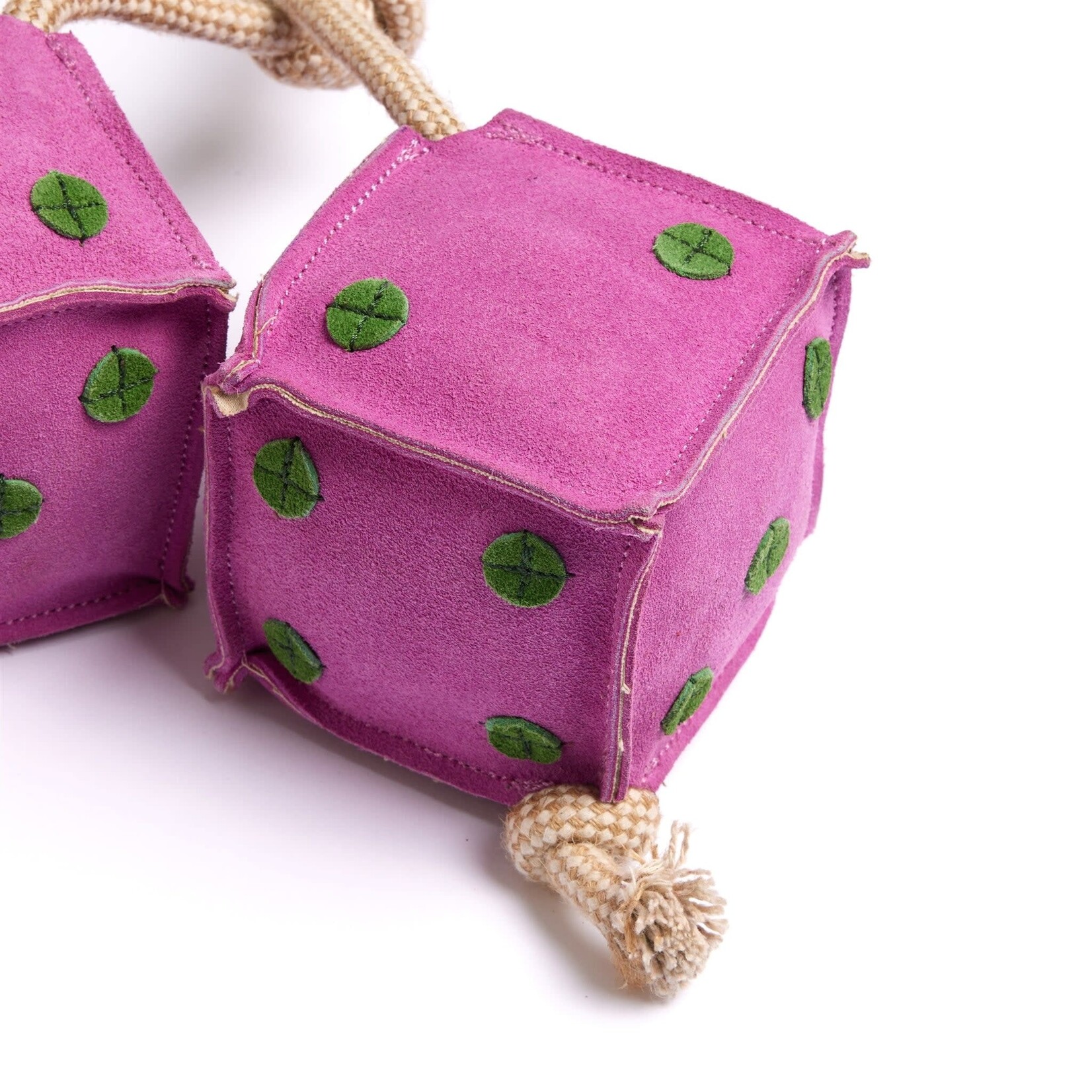 Green and Wild's Lucky Dice Horse & Dog Eco Toy