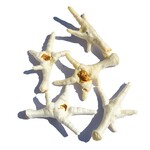 Pure & Natural Puffed Chicken Feet Dog Treat