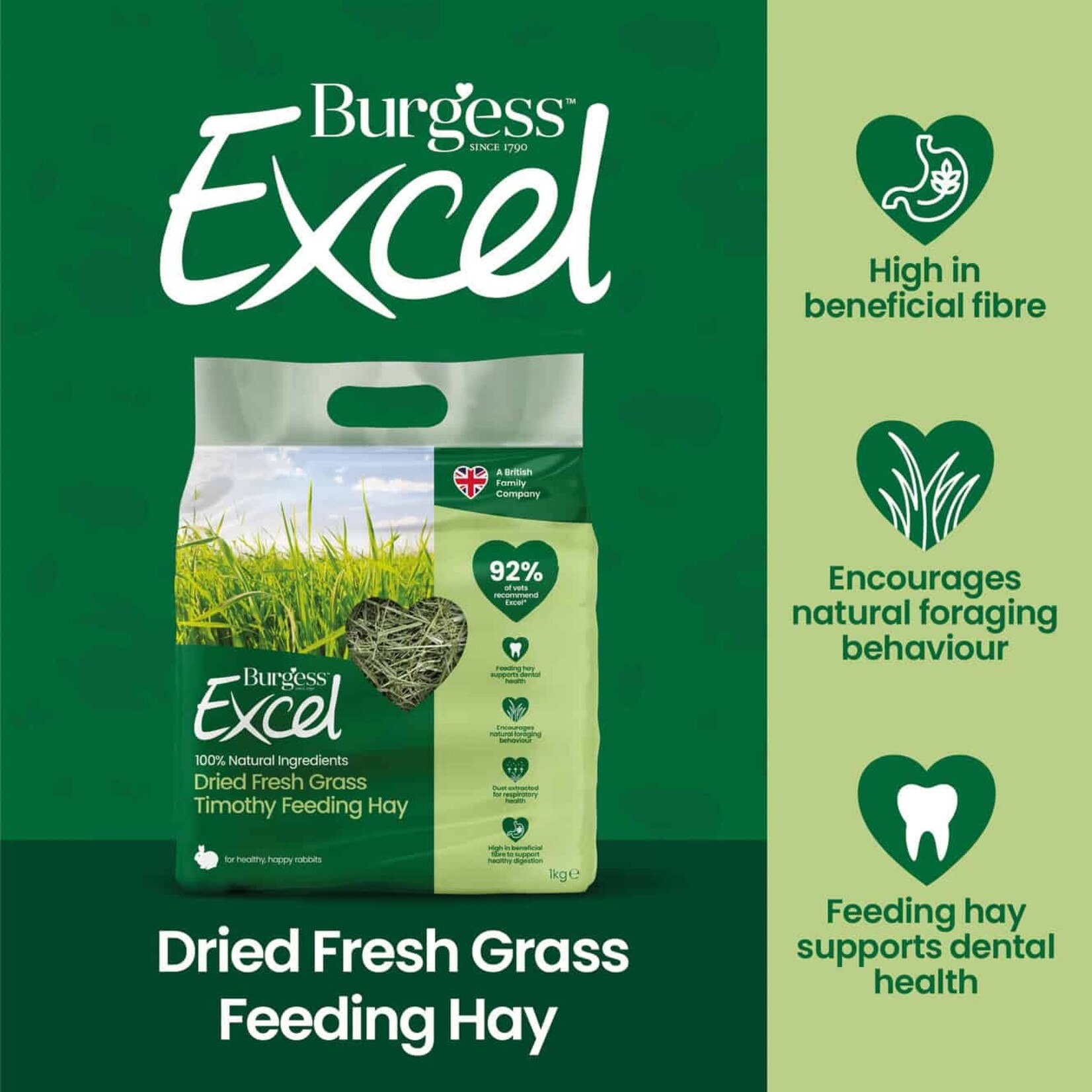 Burgess Excel Dried Fresh Grass Timothy Feeding Hay for Rabbits, 1kg