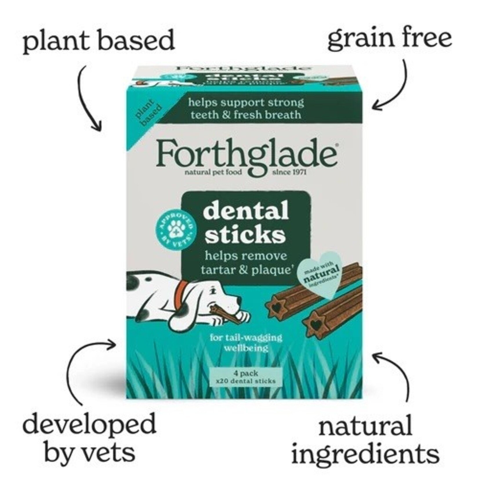 Forthglade Natural Dental Sticks Dog Treats, 20 Pack