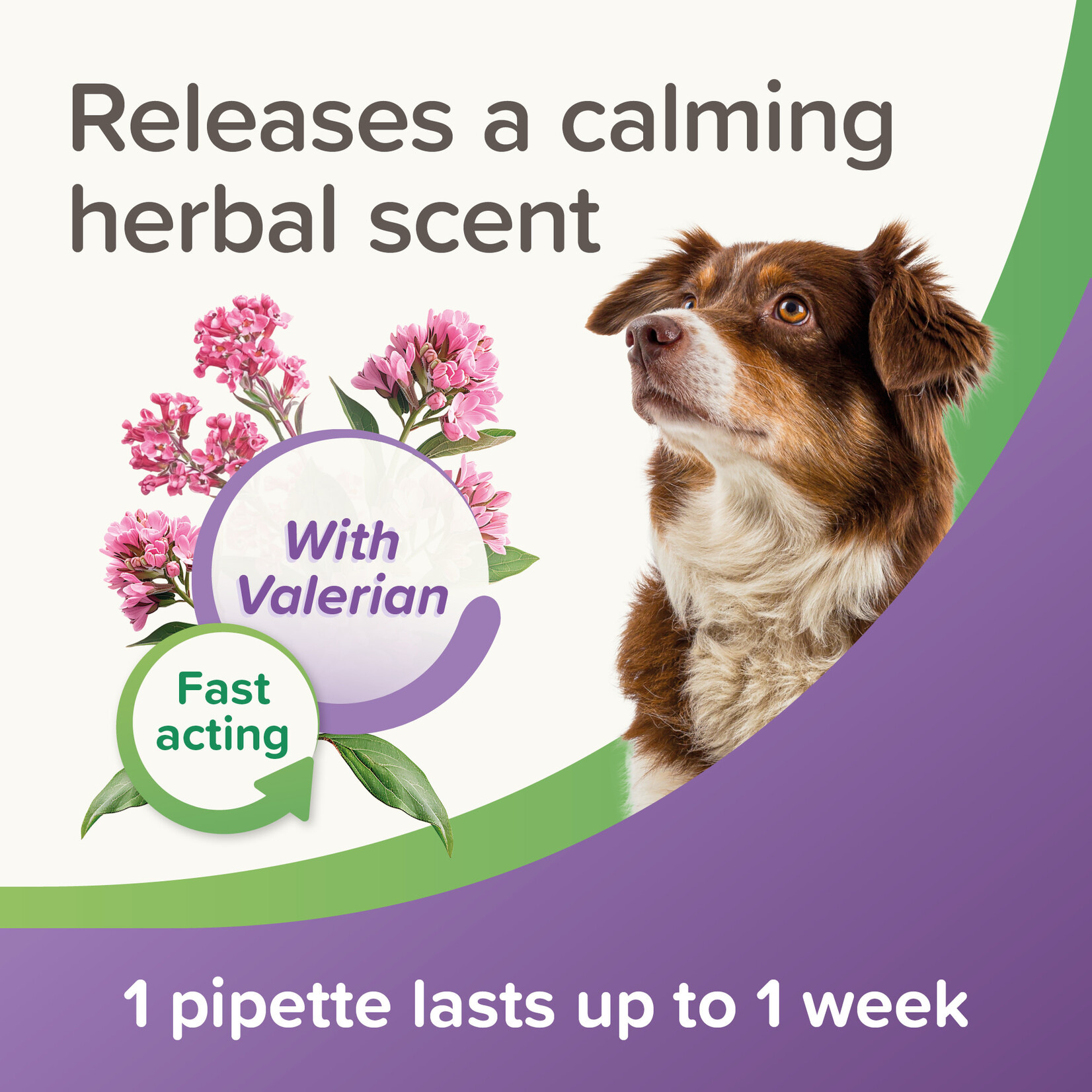 Beaphar Stress Less Herbal Calming Spot On for Dogs