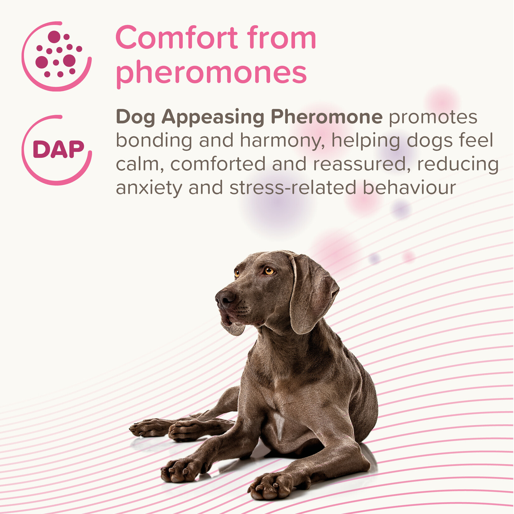 Beaphar CaniComfort Dog Calming Diffuser Starter Kit