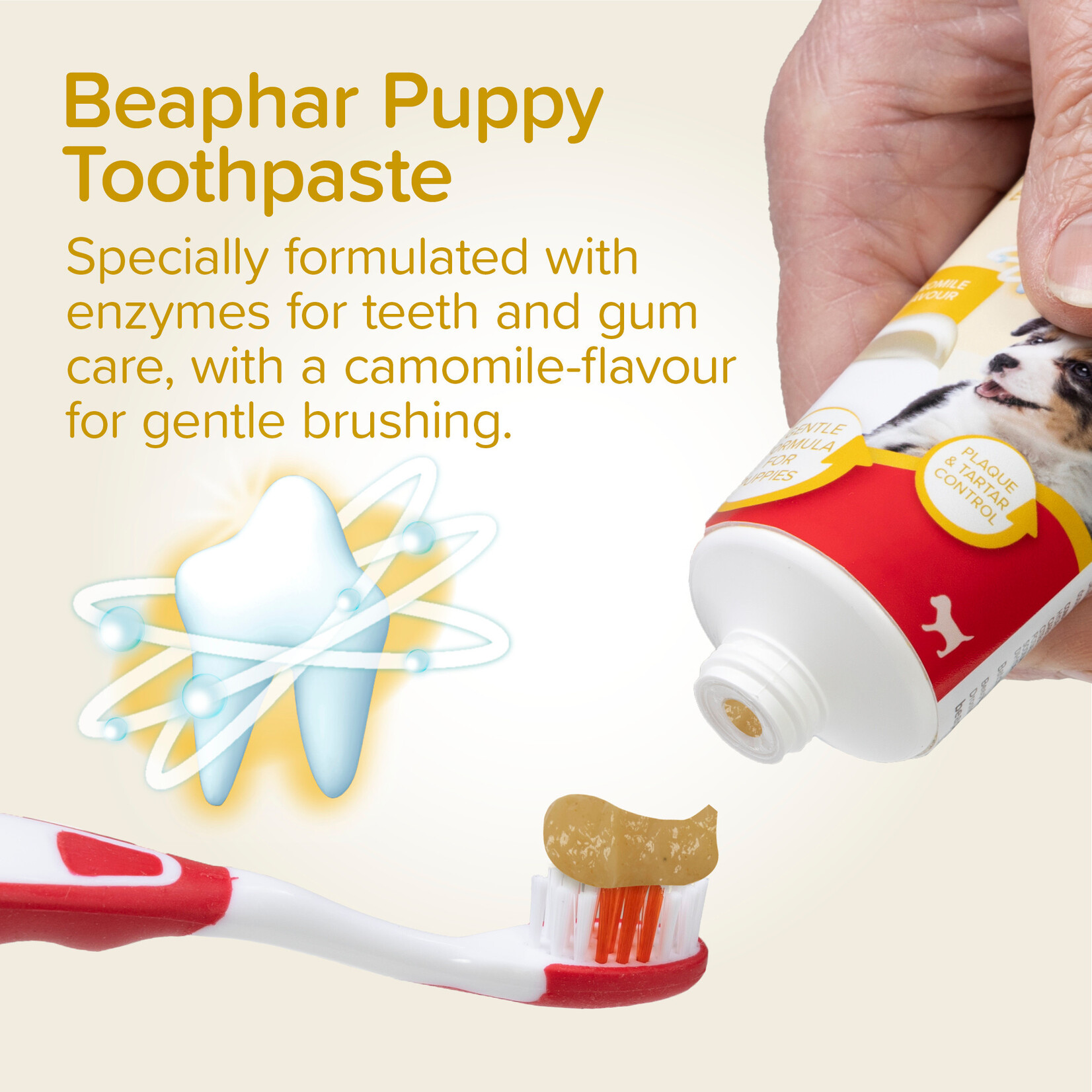 Beaphar Dental Kit for Puppies