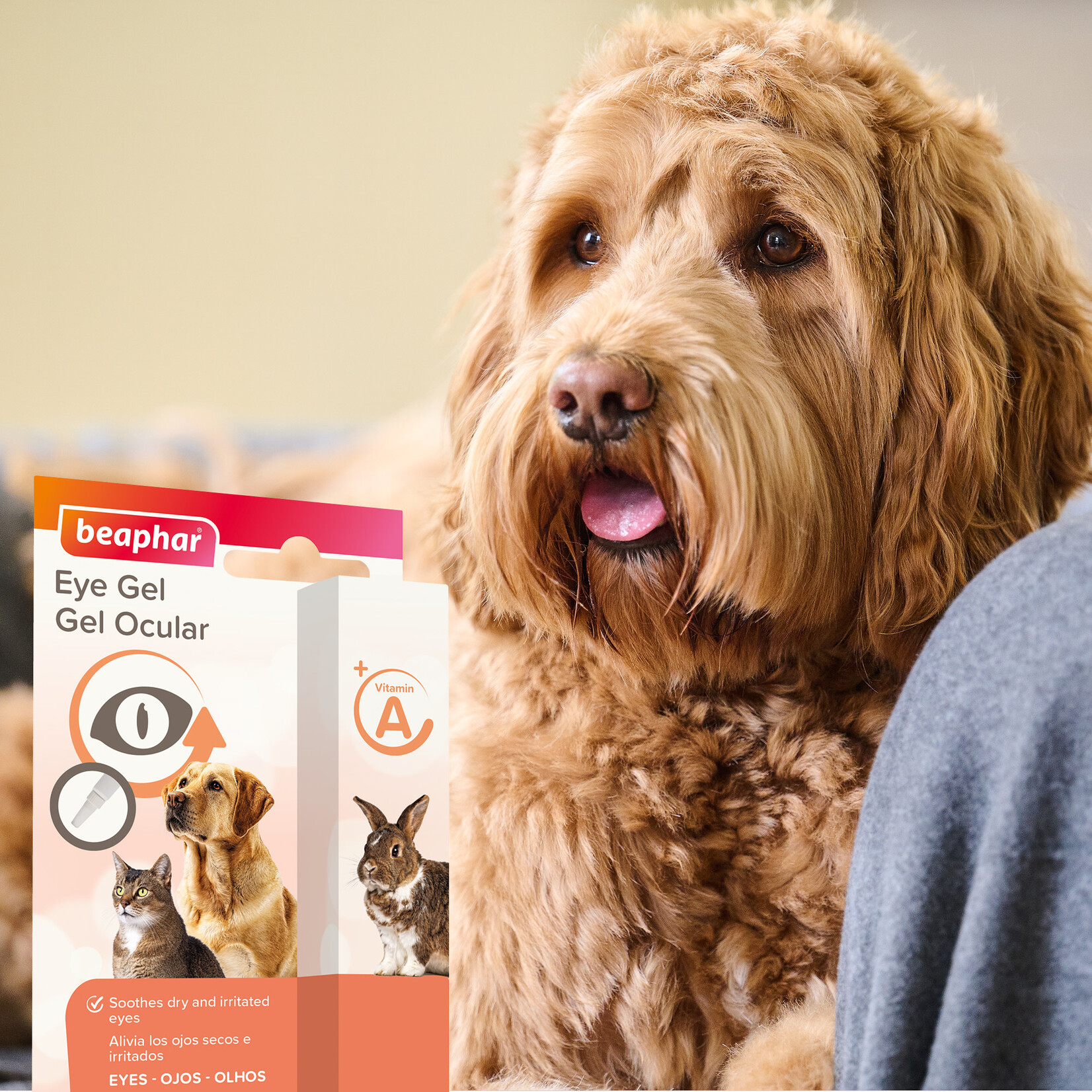 Beaphar Eye Gel for Dog, Cats & Small Animals, 5ml