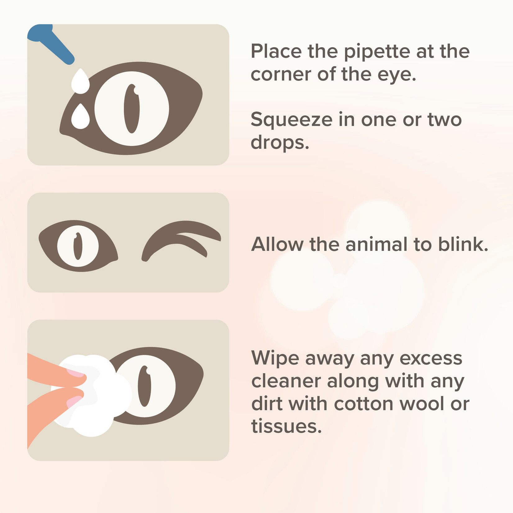 Beaphar Eye Lotion for Cats & Dogs, 50ml