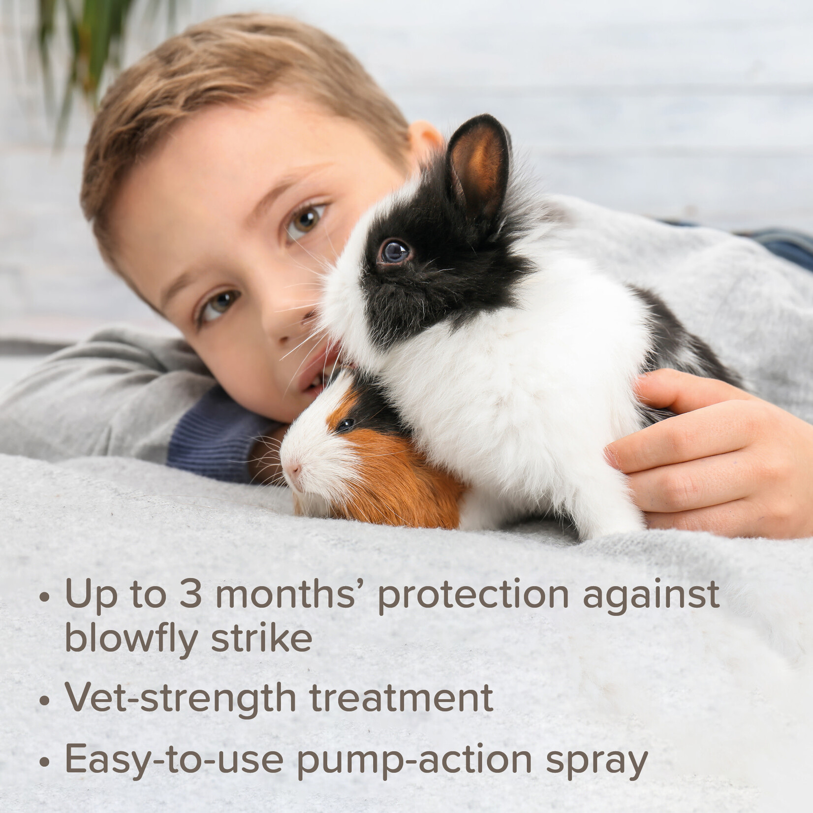 Beaphar Fly Guard for Fly Strike on Small Animals, 75ml