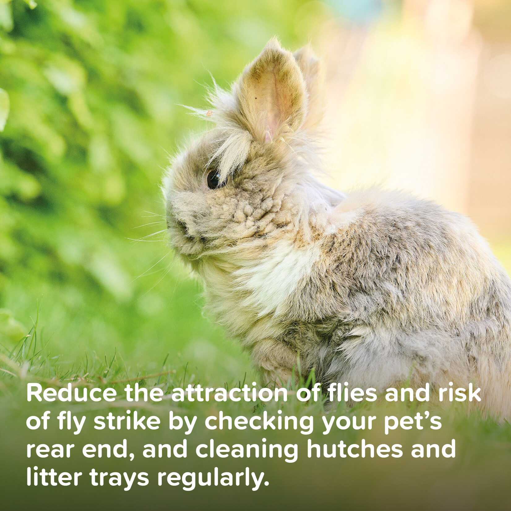 Beaphar Fly Guard for Fly Strike on Small Animals, 75ml