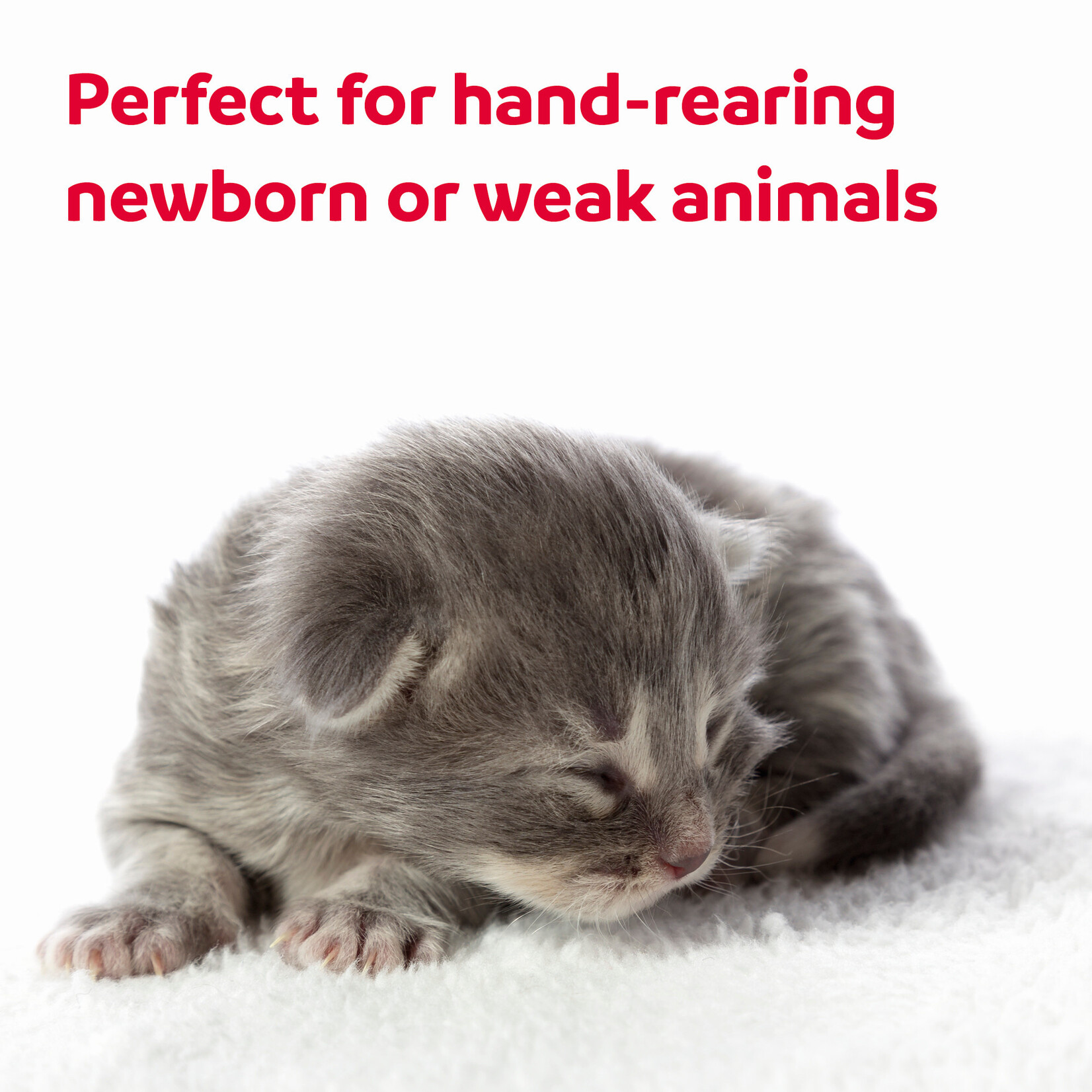 Beaphar Lactol Feeding Syringes, 2 x 12ml