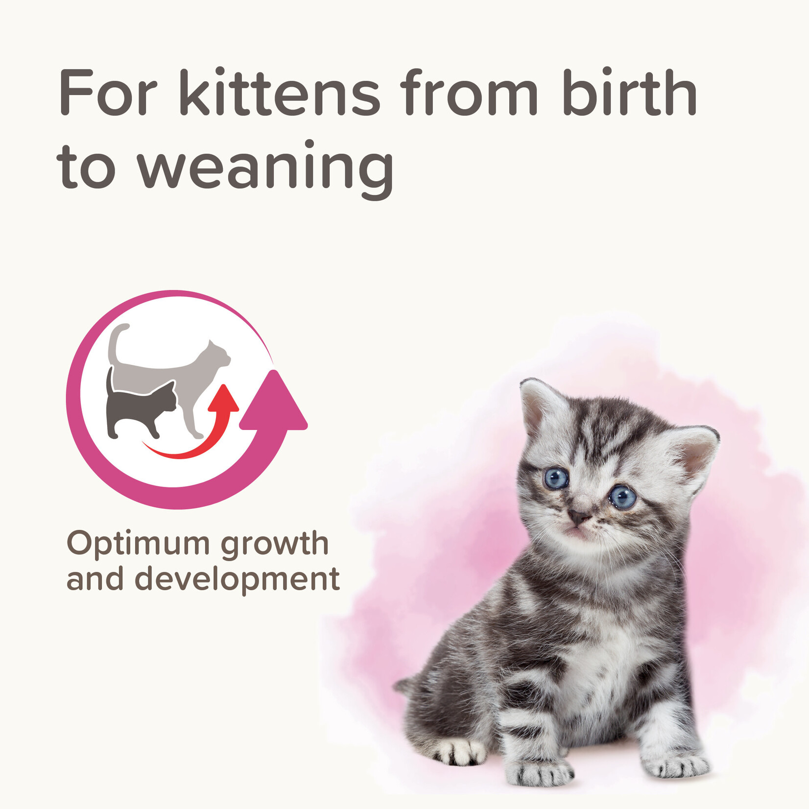 Beaphar Lactol Milk Replacer for Kittens, 250g