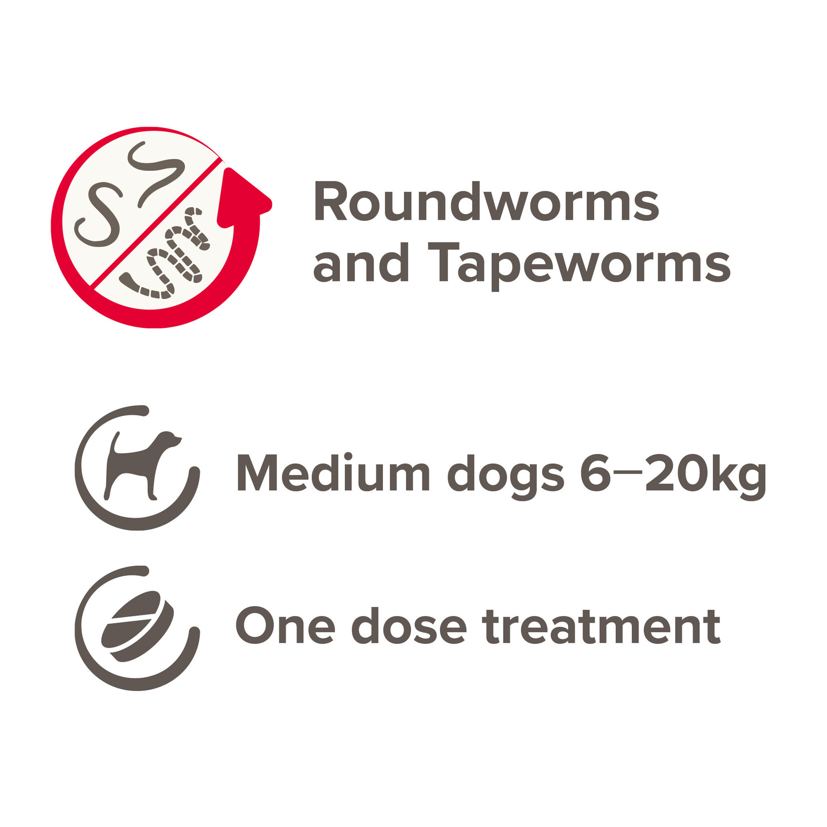 Beaphar One Dose Wormer for Dogs