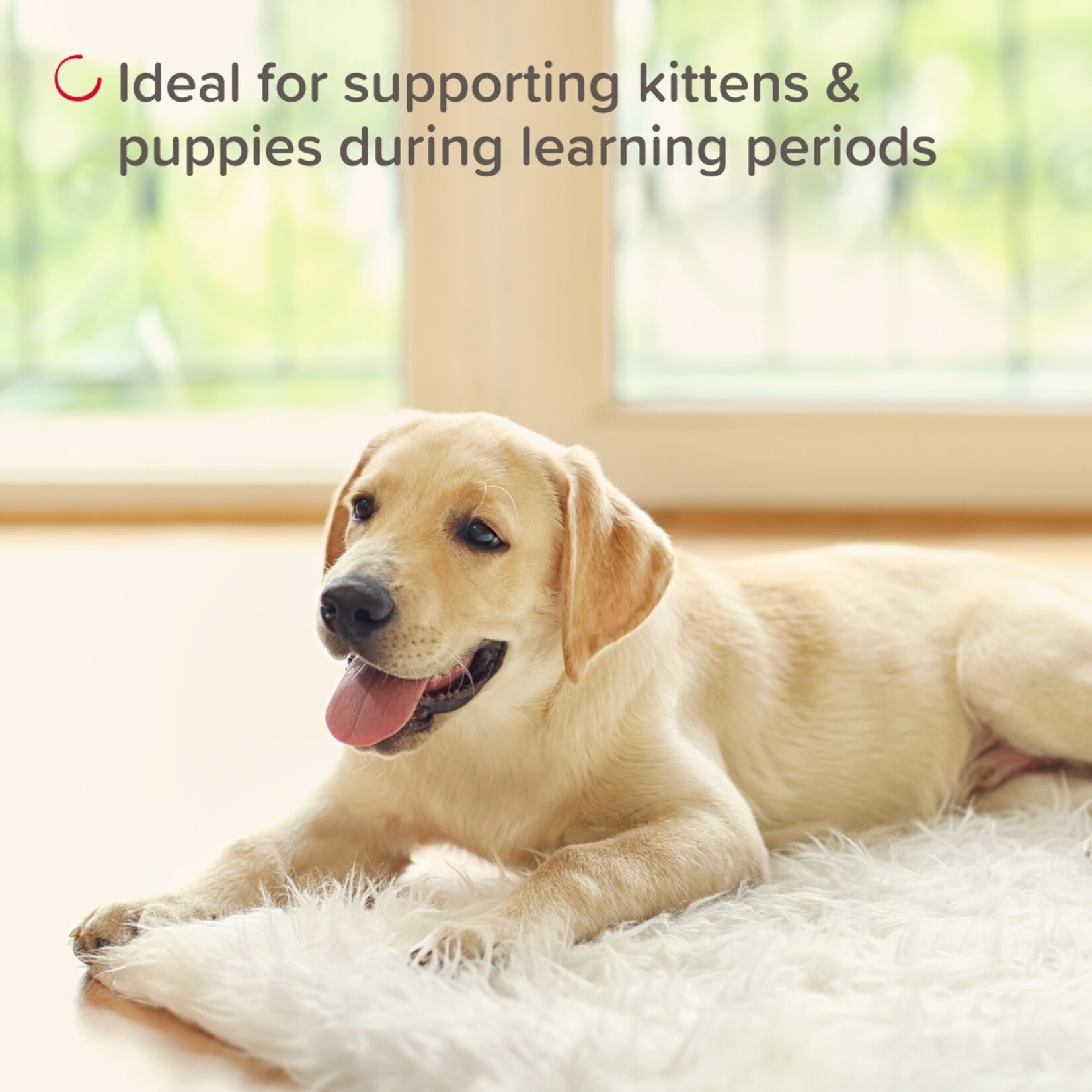 Beaphar Pet Behave Cat & Dog Training Spray, 125ml