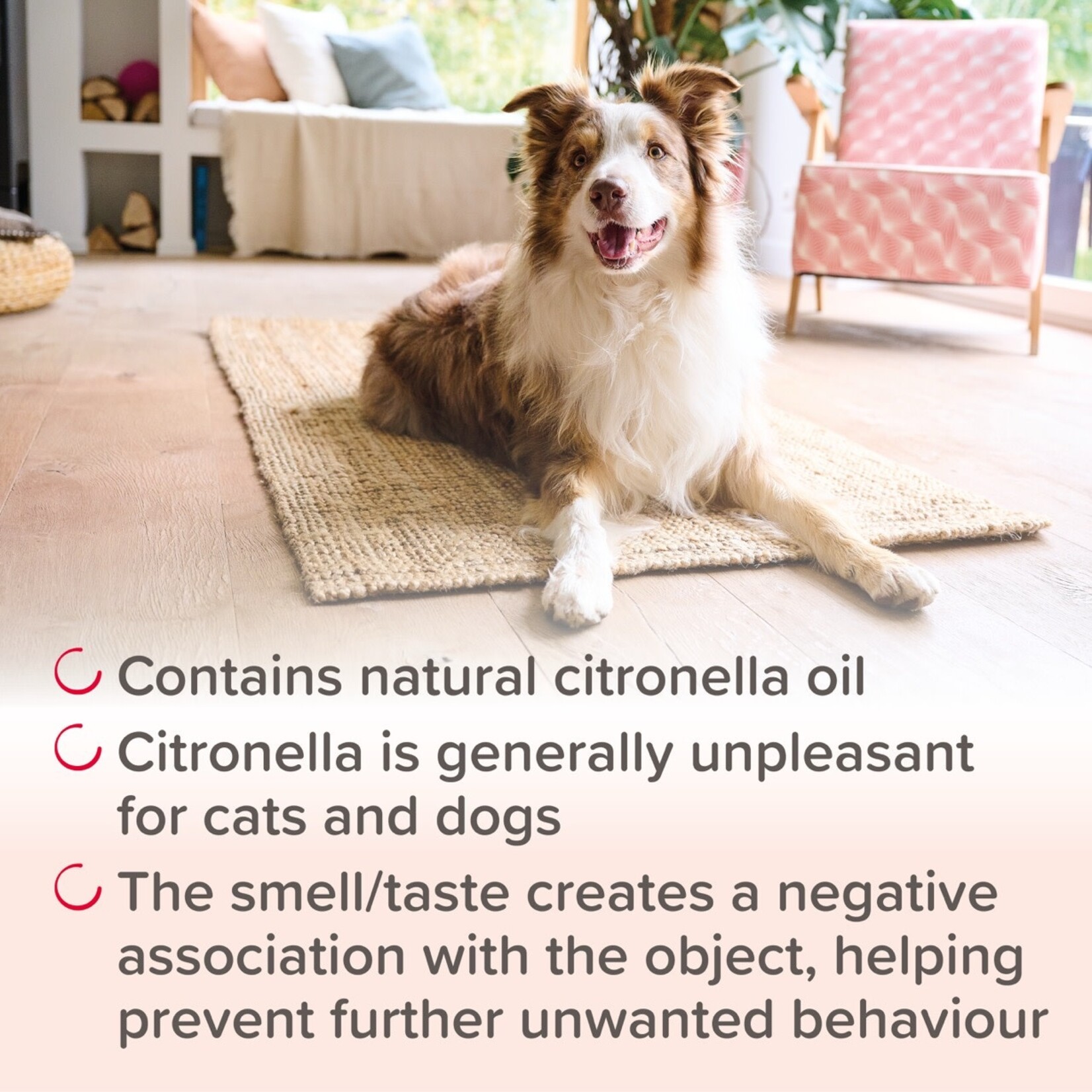 Beaphar Pet Behave Cat & Dog Training Spray, 125ml