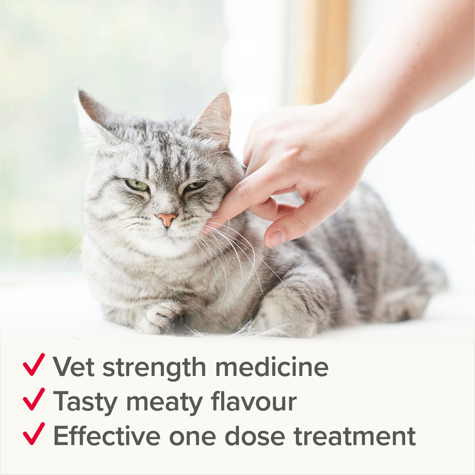 Beaphar WORMclear Cat One Dose Wormer for Cats & Kittens