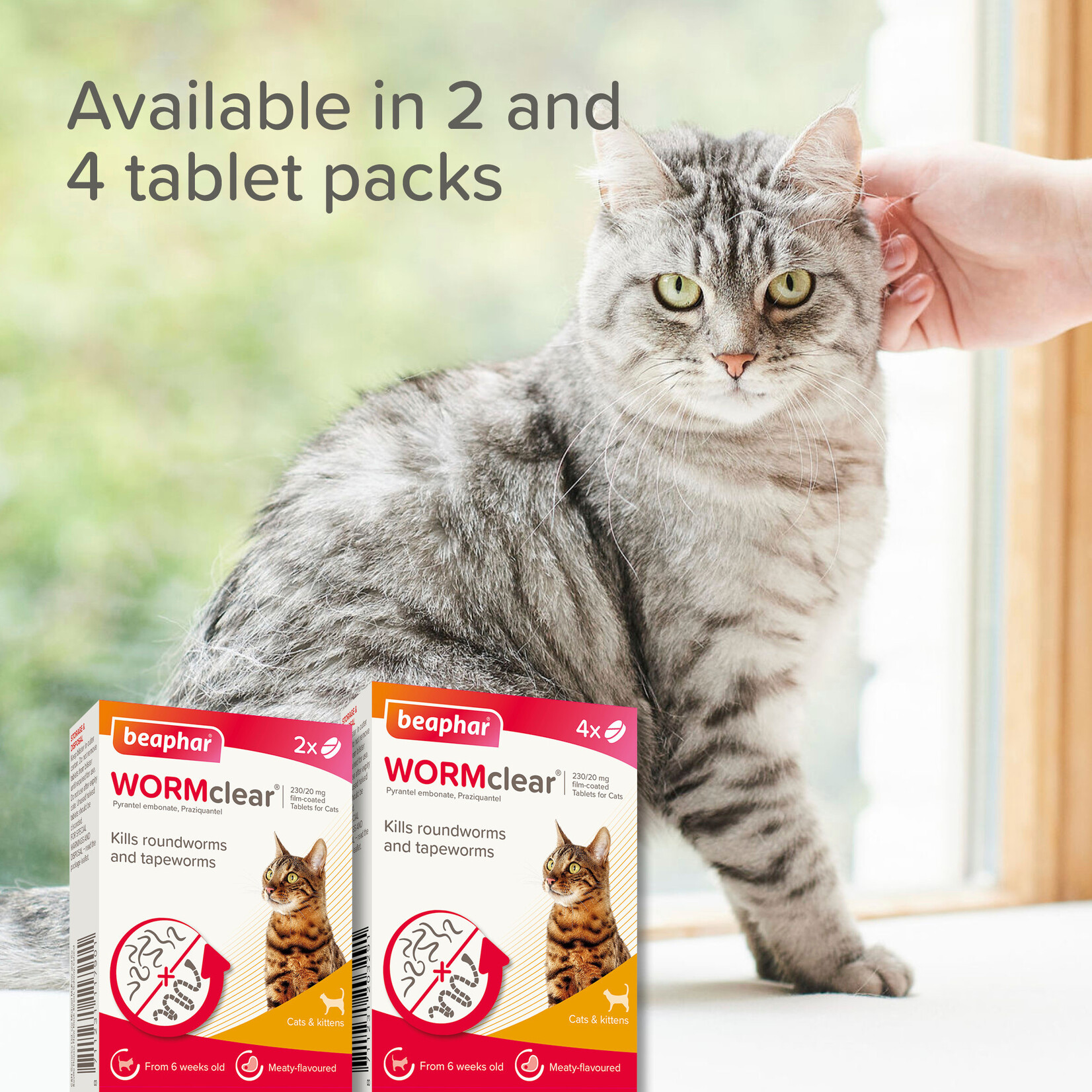 Beaphar WORMclear Cat One Dose Wormer for Cats & Kittens