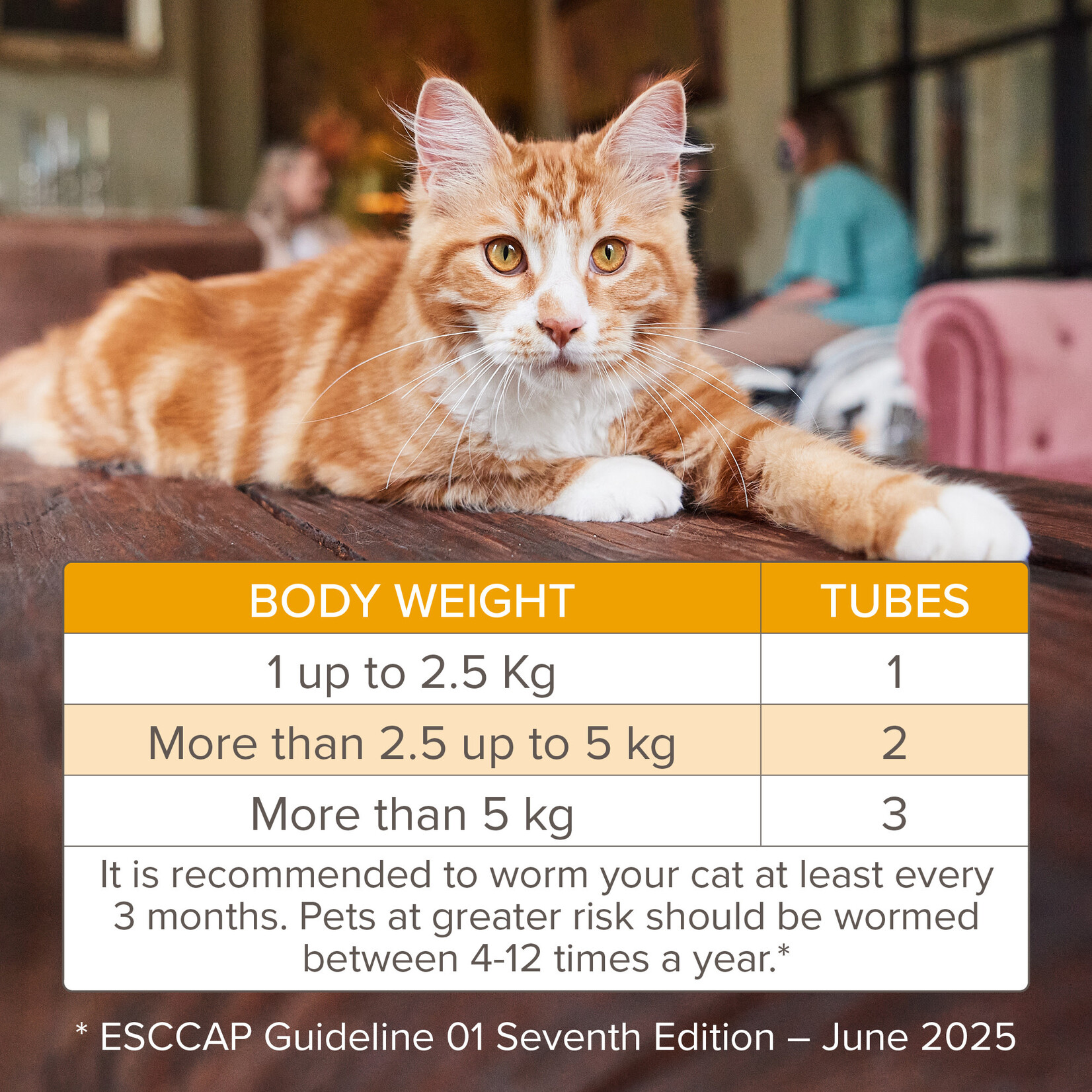 Beaphar WORMclear Cat Spot-On Wormer for Cats, 2 pipettes