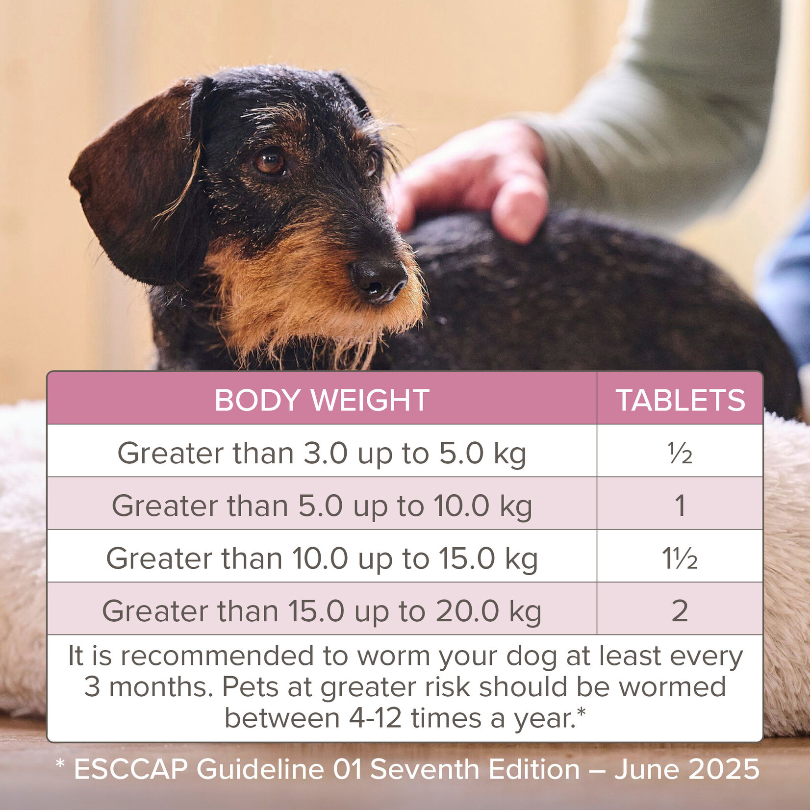 Beaphar WORMclear One Dose Wormer for Dogs